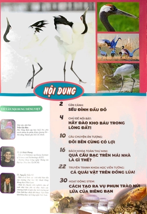bộ the young scientist - truyện tranh khoa học cho trẻ em - level 3 - tập 3: cá quái vật trên đồng lúa - Ảnh 3