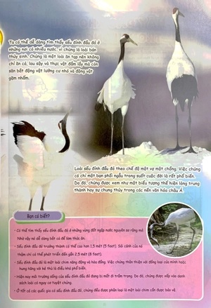 bộ the young scientist - truyện tranh khoa học cho trẻ em - level 3 - tập 3: cá quái vật trên đồng lúa - Ảnh 6