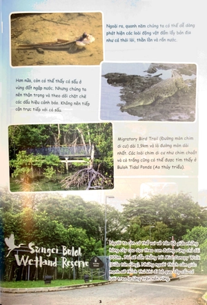 bộ the young scientist - truyện tranh khoa học cho trẻ em - level 3 - tập 4: cháy ở làng lele - Ảnh 6