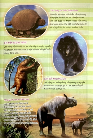 bộ the young scientist - truyện tranh khoa học cho trẻ em - level 3 - tập 5: chạy đi bọn cua đỏ đang xâm chiếm - Ảnh 4