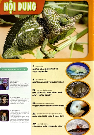 bộ the young scientist - truyện tranh khoa học cho trẻ em - level 3 - tập 7: "voi dumbo" trong lòng biển - Ảnh 3