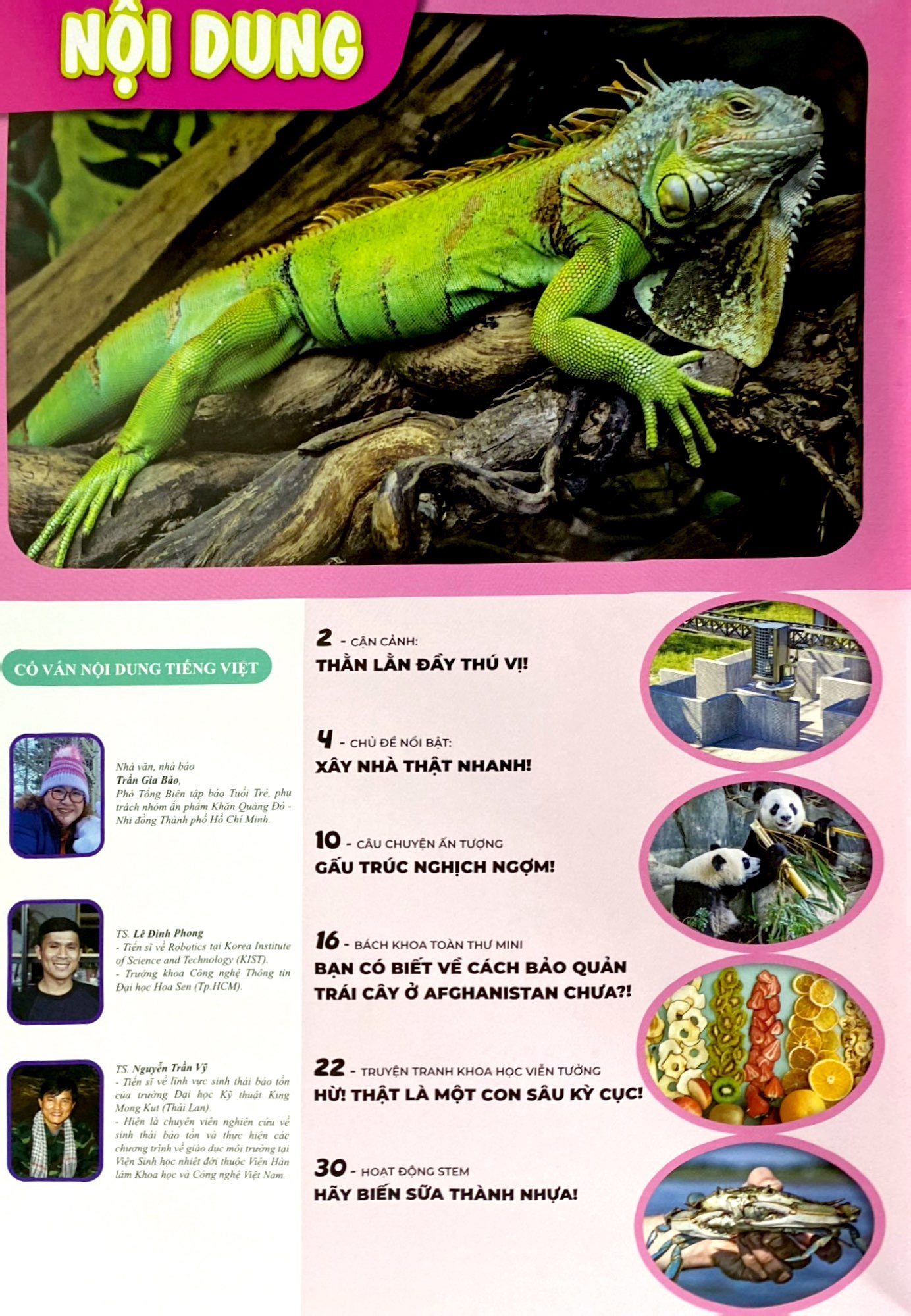 Bo
						
										
										The Young Scientist - Truyen Tranh Khoa Hoc Cho Tre Em - Level 3 - Tap 8 - Gau Truc Nghich Ngom - Ảnh 3