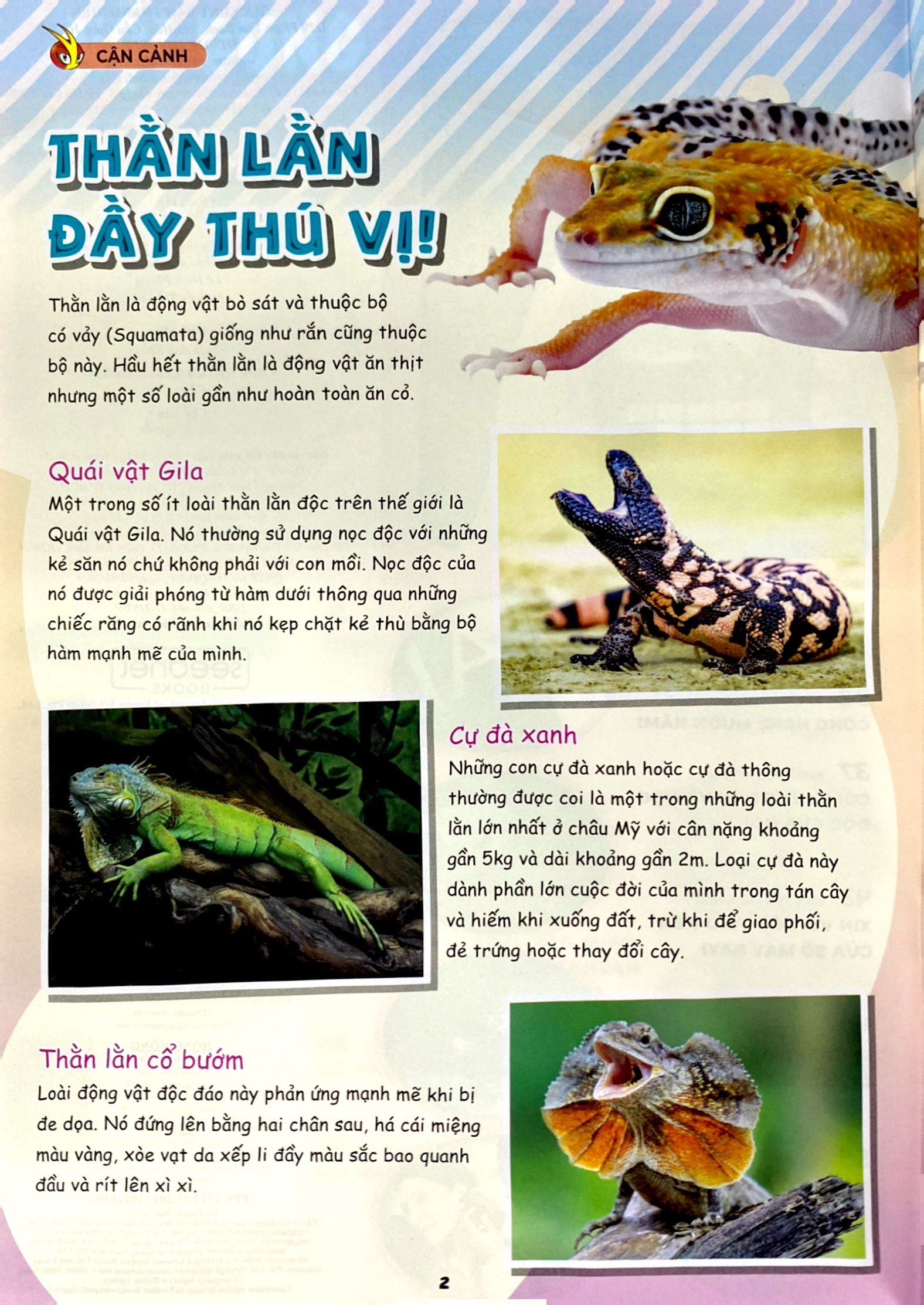 Bo
						
										
										The Young Scientist - Truyen Tranh Khoa Hoc Cho Tre Em - Level 3 - Tap 8 - Gau Truc Nghich Ngom - Ảnh 5