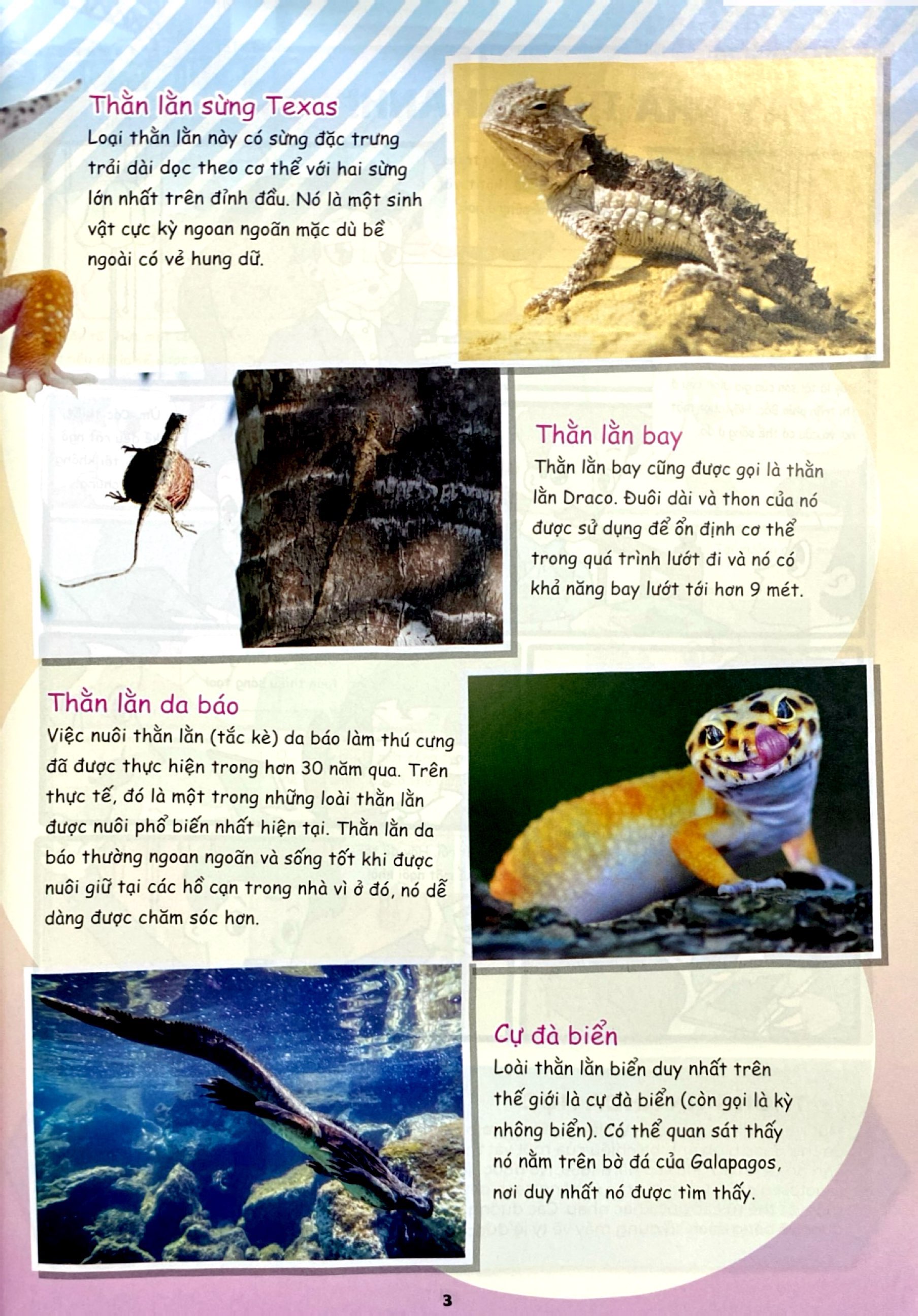 Bo
						
										
										The Young Scientist - Truyen Tranh Khoa Hoc Cho Tre Em - Level 3 - Tap 8 - Gau Truc Nghich Ngom - Ảnh 6