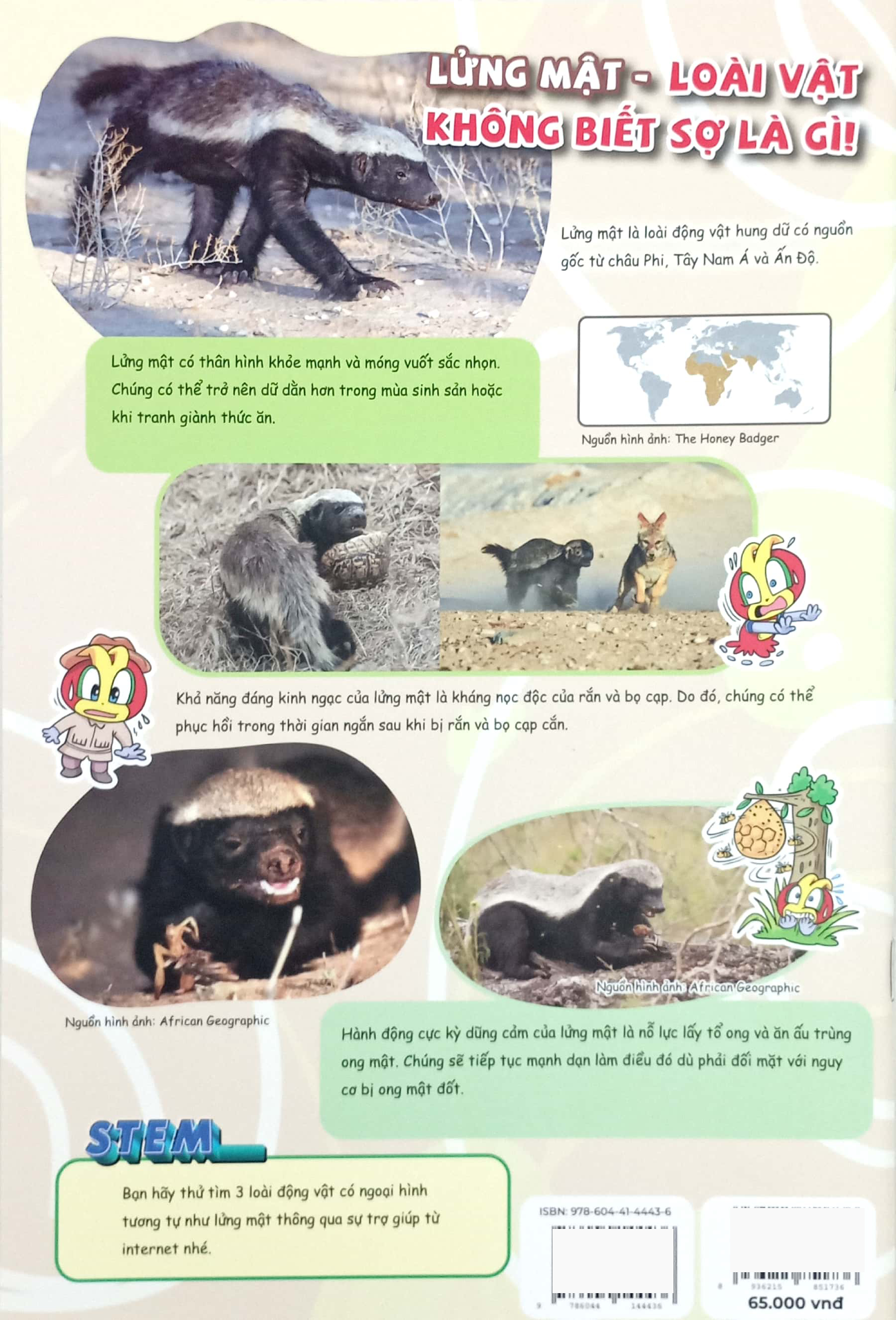 Bộ The Young Scientists - Truyện Tranh Khoa Học Cho Trẻ Em - Level 1 - Tập 11 - Chạm Trán Cá Voi Sát Thủ Dưới Đáy Đại Dương! - Ảnh 7