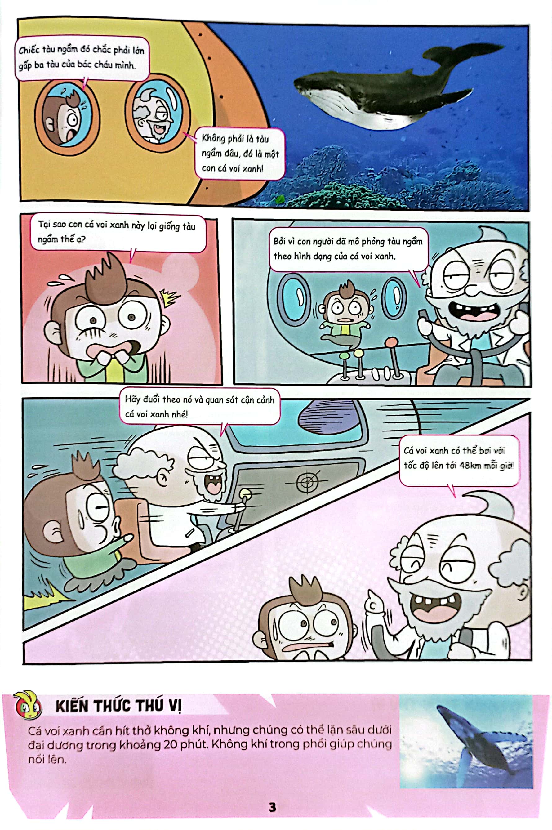 Bộ The Young Scientists - Truyện Tranh Khoa Học Cho Trẻ Em - Level 2 - Tập 10 - Tảng Đá Cũng Biết “Lớn Lên”! - Ảnh 6