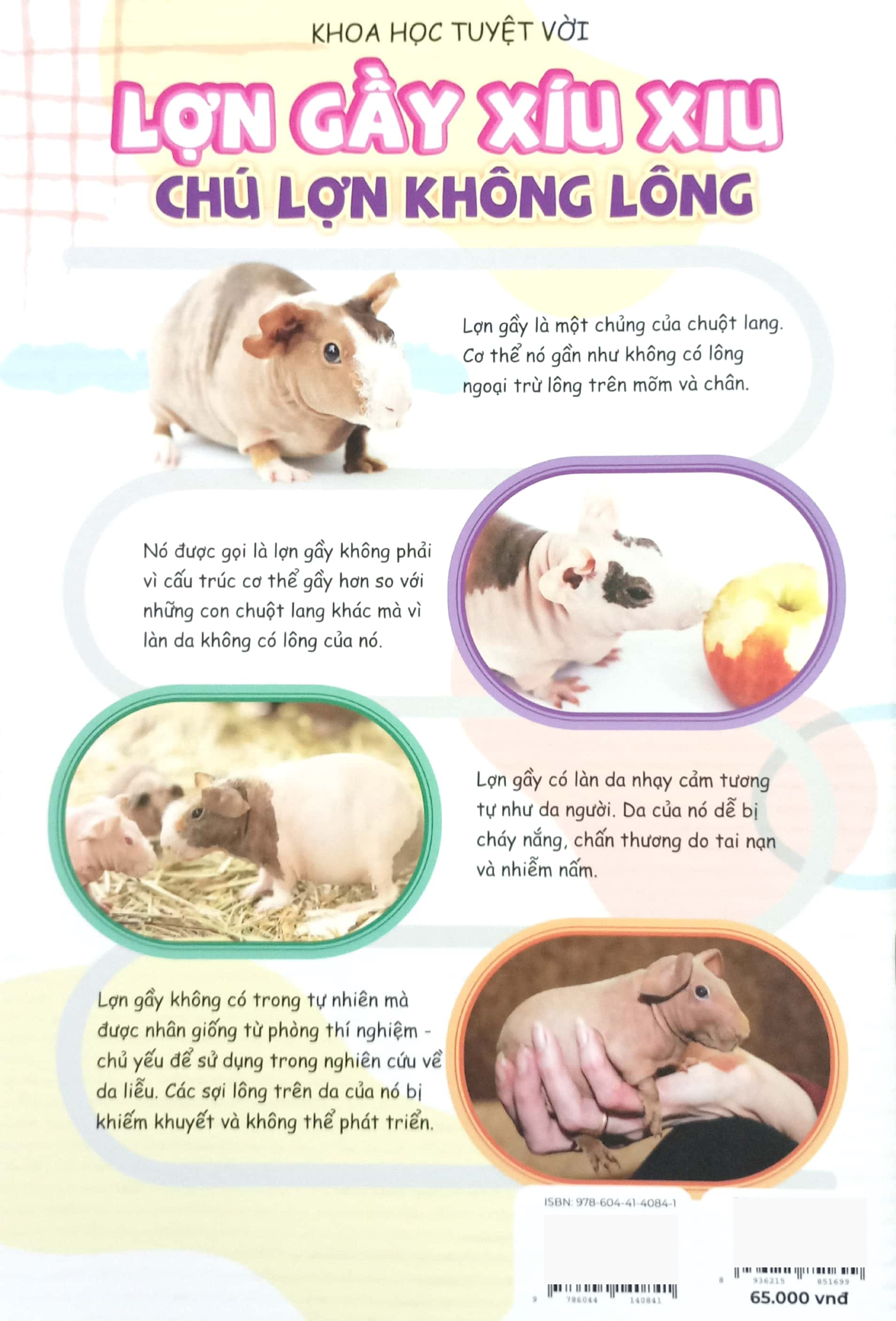 Bộ The Young Scientists - Truyện Tranh Khoa Học Cho Trẻ Em - Level 2 - Tập 10 - Tảng Đá Cũng Biết “Lớn Lên”! - Ảnh 7