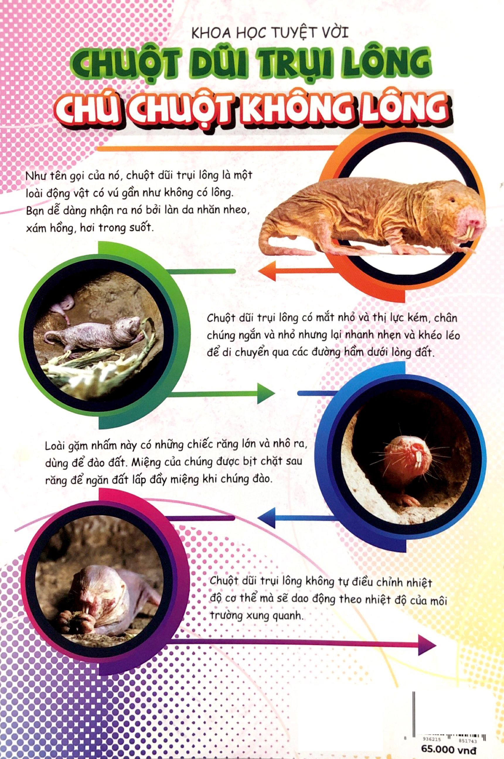 Bộ The Young Scientists - Truyện Tranh Khoa Học Cho Trẻ Em - Level 2 - Tập 11 - Thế Giới Thu Nhỏ Trong “Quả Bóng”! - Ảnh 10