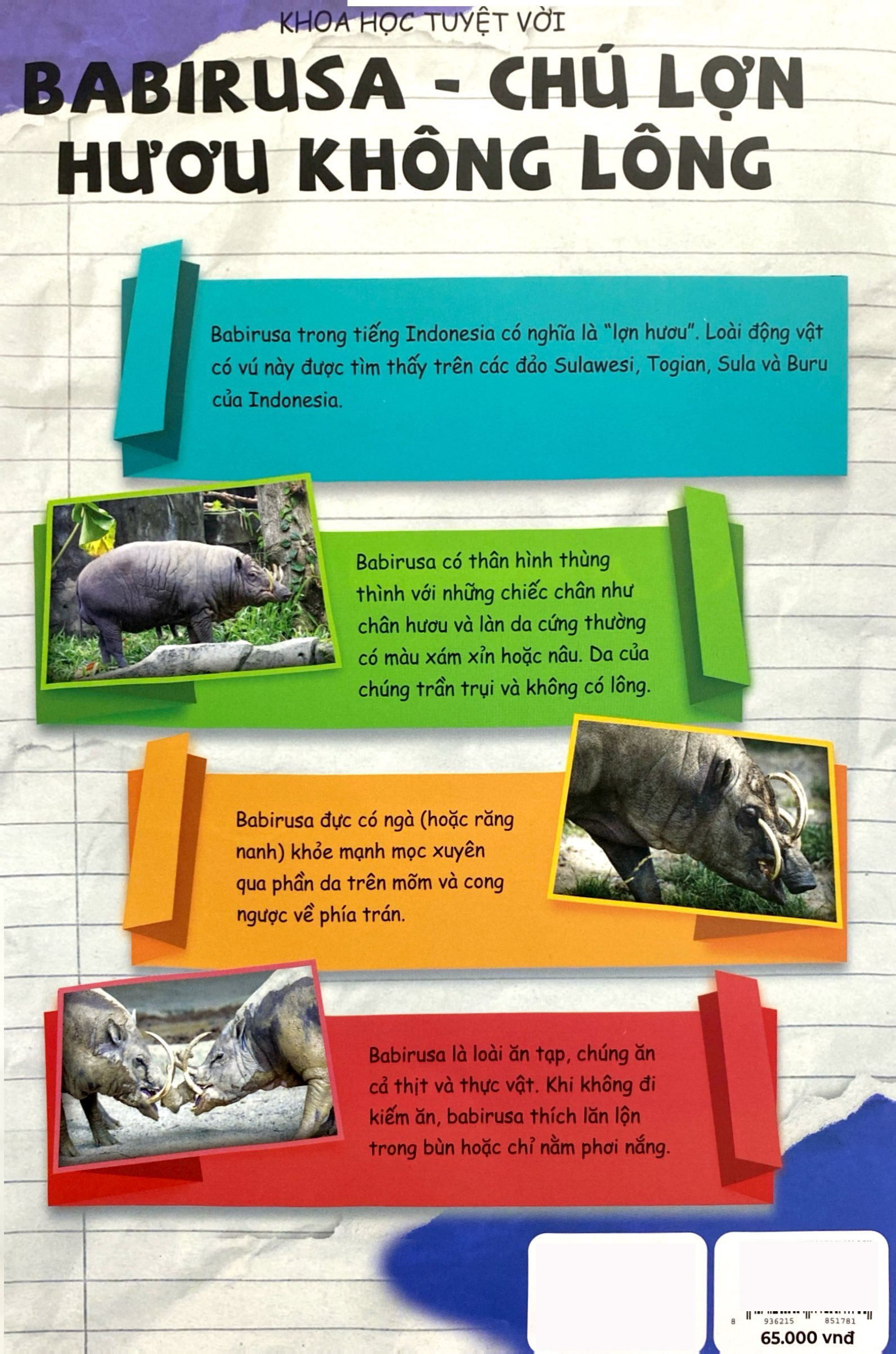 Bộ The Young Scientists - Truyện Tranh Khoa Học Cho Trẻ Em - Level 2 - Tập 12 - Giải Cứu Tê Giác Trắng - Ảnh 6