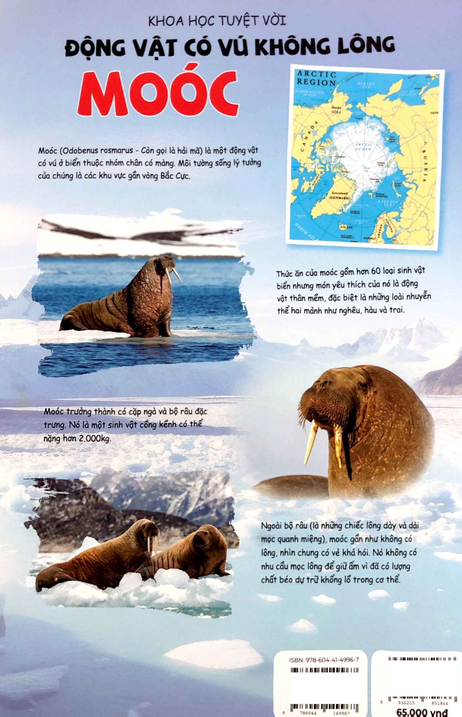 Bộ The Young Scientists - Truyện Tranh Khoa Học Cho Trẻ Em - Level 2 - Tập 13 - Người Ngoài Hành Tinh Đến Thăm Hồ Nước Màu Hồng - Ảnh 9