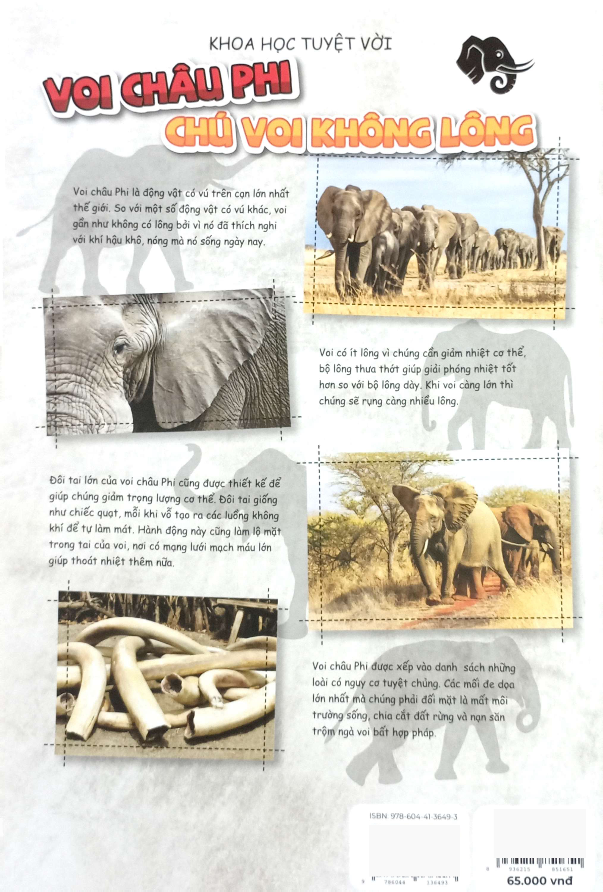 Bo
The Young Scientists - Truyen Tranh Khoa Hoc Cho Tre Em - Level 2 - Tap 9 - Muoi Trong Bien - Ảnh 6