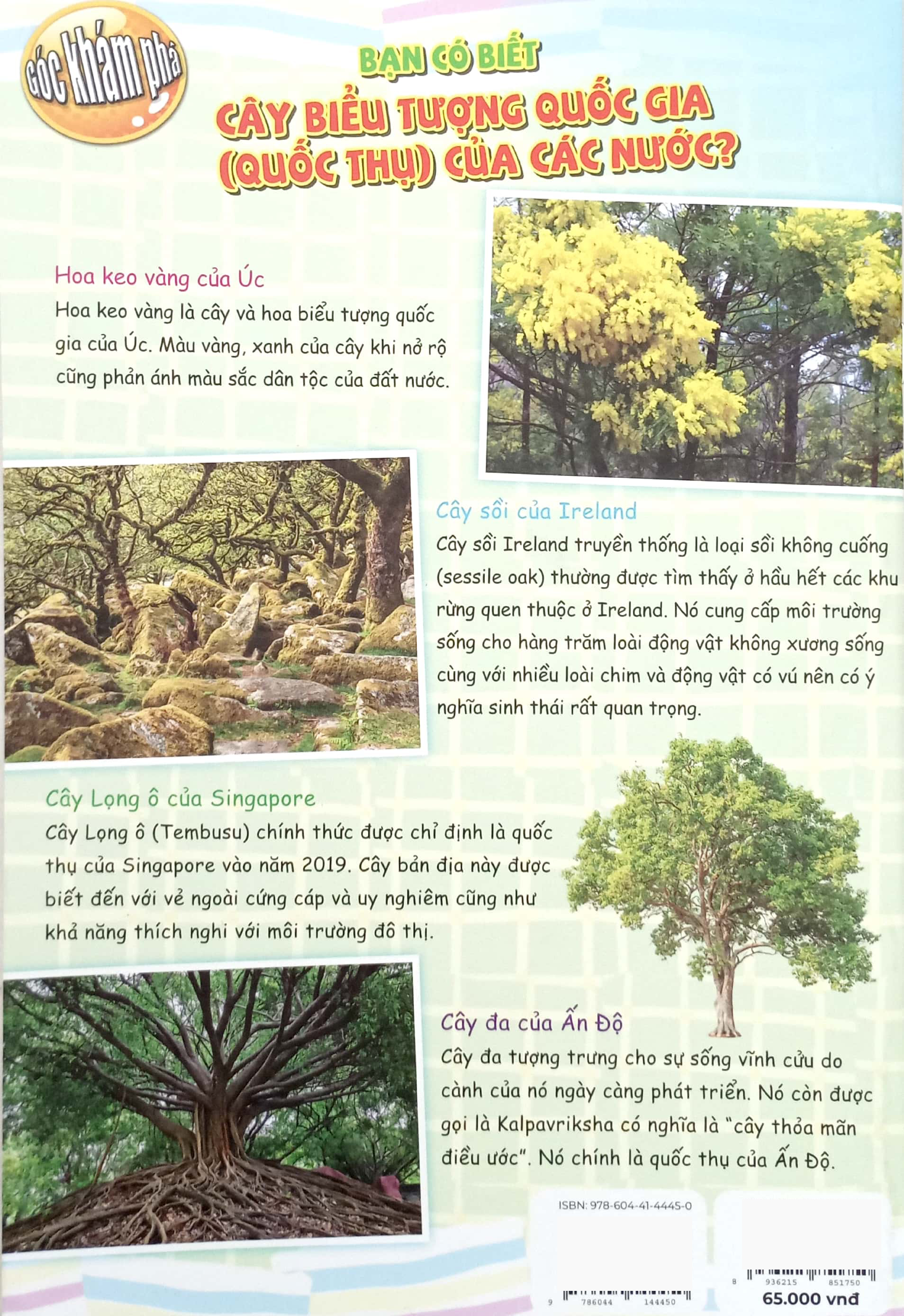 Bộ The Young Scientists - Truyện Tranh Khoa Học Cho Trẻ Em - Level 3 - Tập 11 - Loài Cá Lạ Với Mắt Trên Đỉnh Đầu! - Ảnh 7