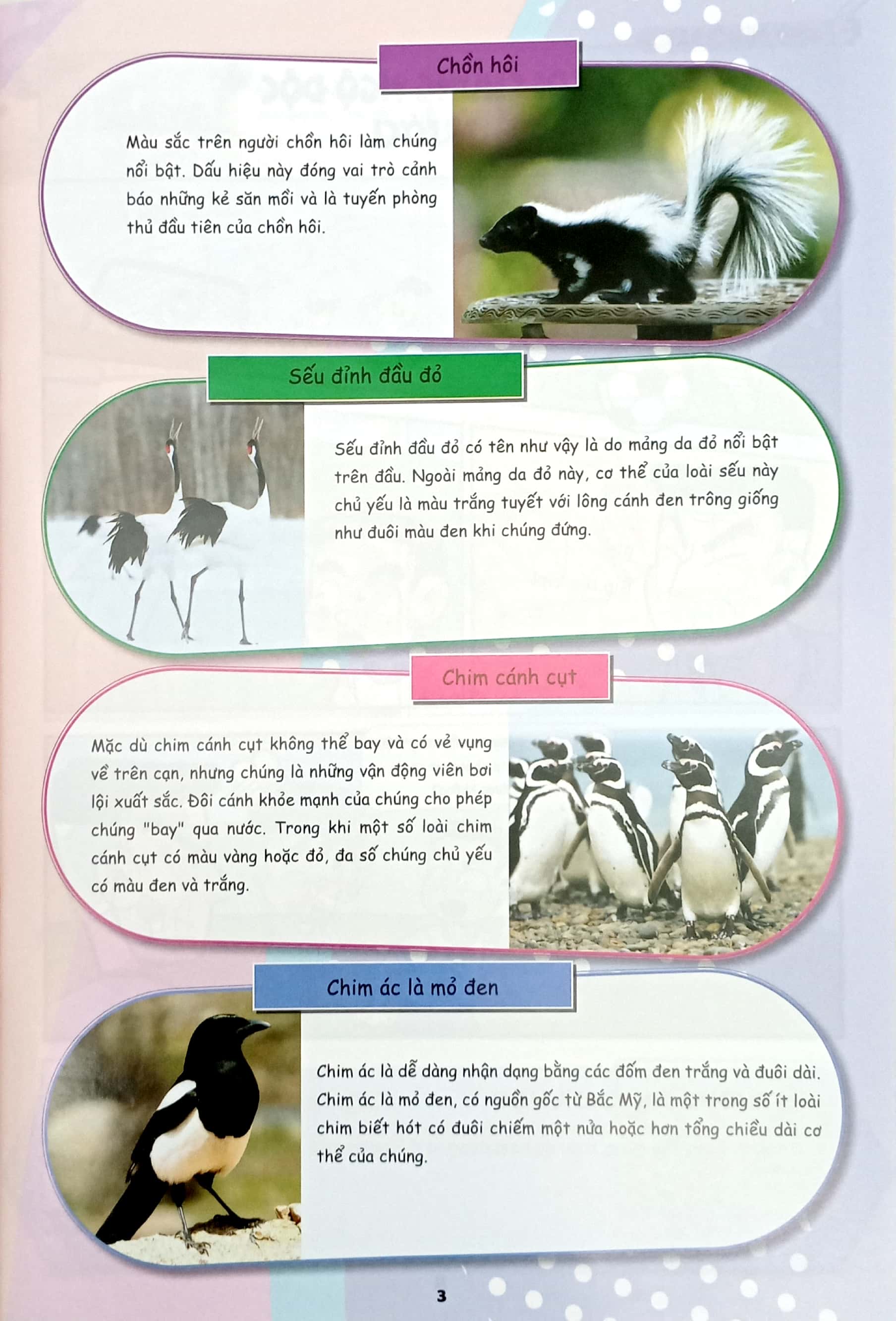Bộ The Young Scientists - Truyện Tranh Khoa Học Cho Trẻ Em - Level 3 - Tập 13 - Vụ Mùa Bội Thu Trong Thời Tiết Nóng - Ảnh 5