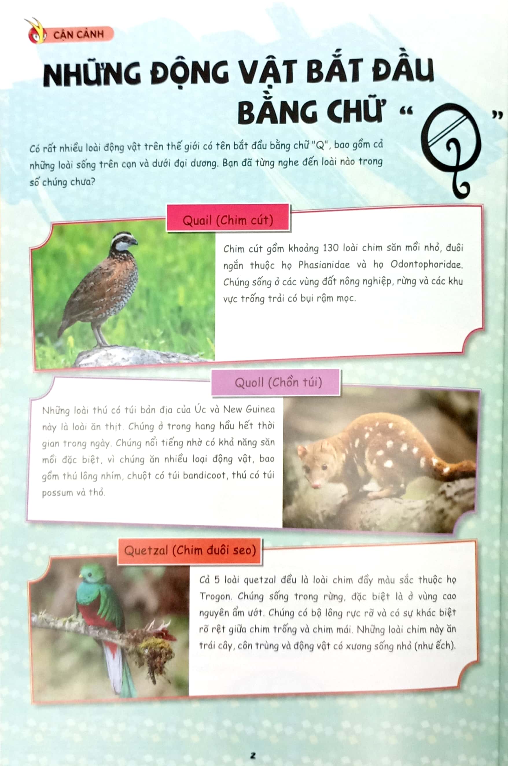 Bo
The Young Scientists - Truyen Tranh Khoa Hoc Cho Tre Em - Level 3 - Tap 14 - Nguoi Co Sieu Vi Giac - Ảnh 4