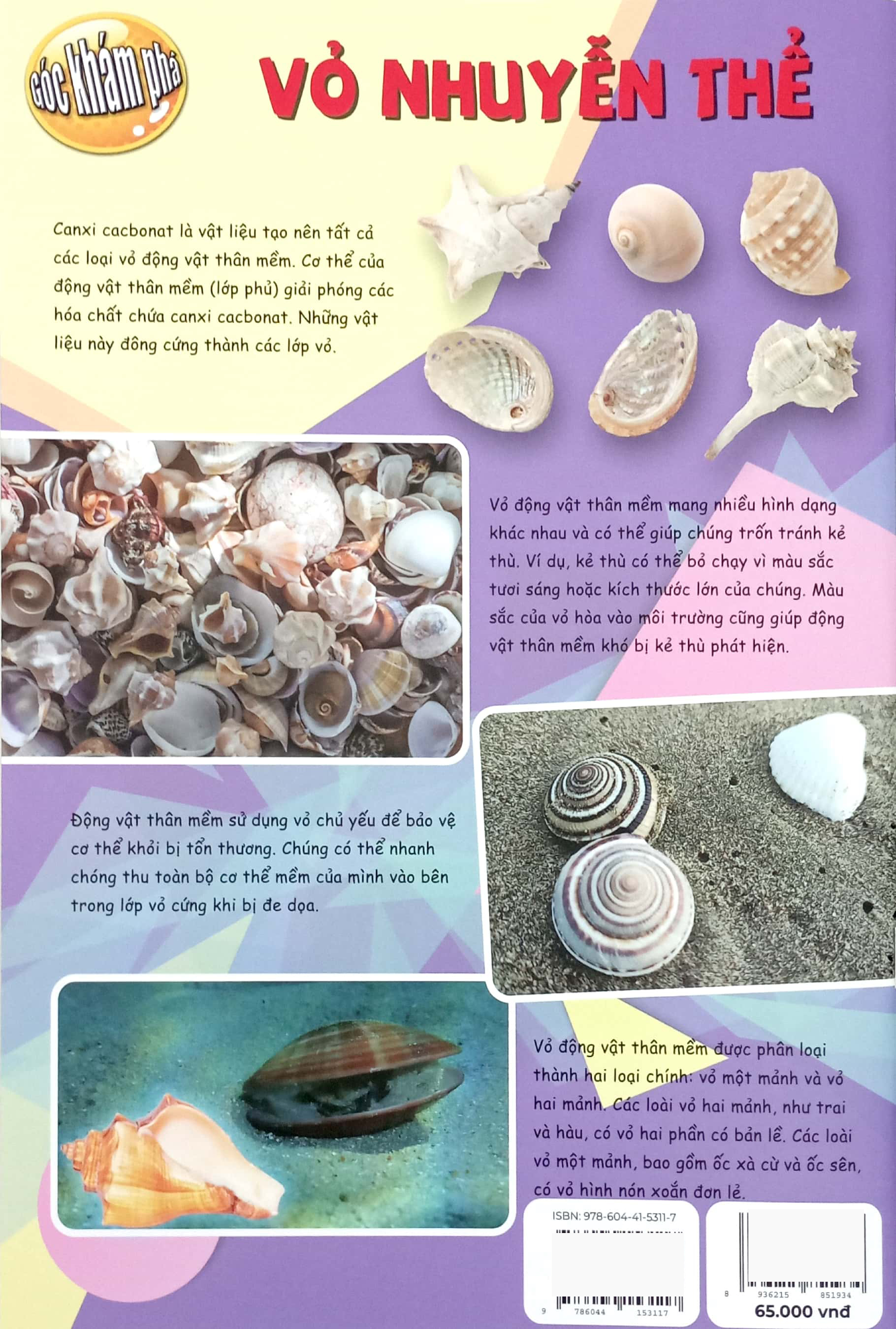 Bo
The Young Scientists - Truyen Tranh Khoa Hoc Cho Tre Em - Level 3 - Tap 14 - Nguoi Co Sieu Vi Giac - Ảnh 5