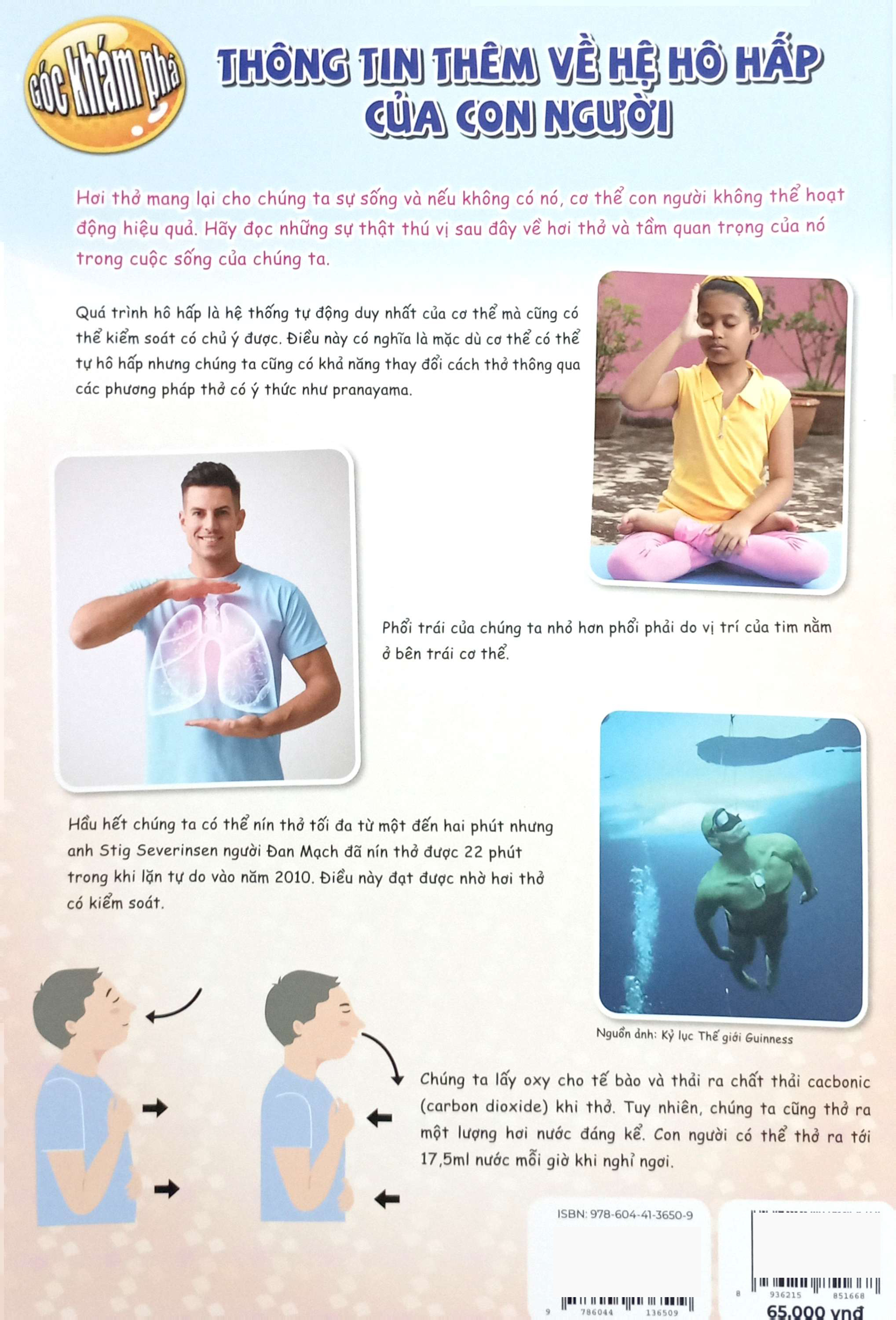 Bo
The Young Scientists - Truyen Tranh Khoa Hoc Cho Tre Em - Level 3 - Tap 9 - Tai Sao Ca Voi Phun Nuoc - Ảnh 6