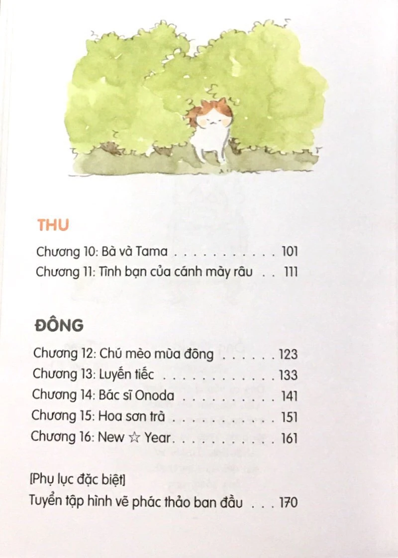 Bộ Thị Trấn Mèo - Tập 1 - Ảnh 3