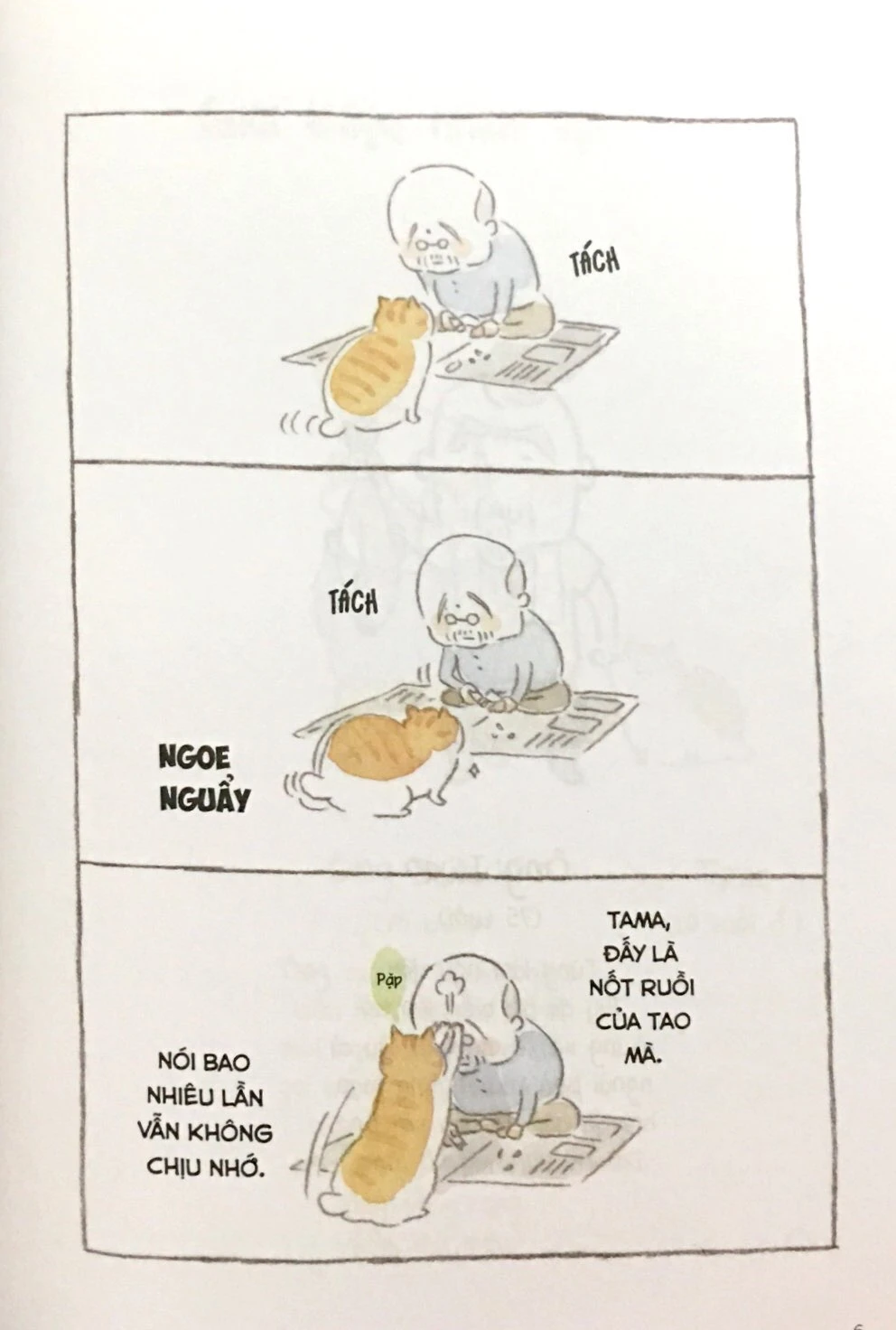 Bộ Thị Trấn Mèo - Tập 1 - Ảnh 6