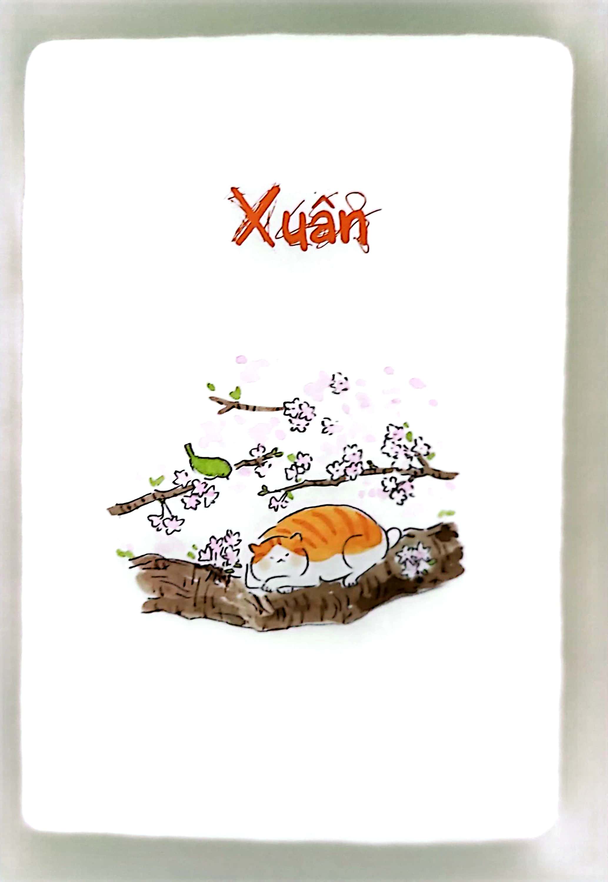 bộ thị trấn mèo - tập 1 (tái bản 2019) - Ảnh 6