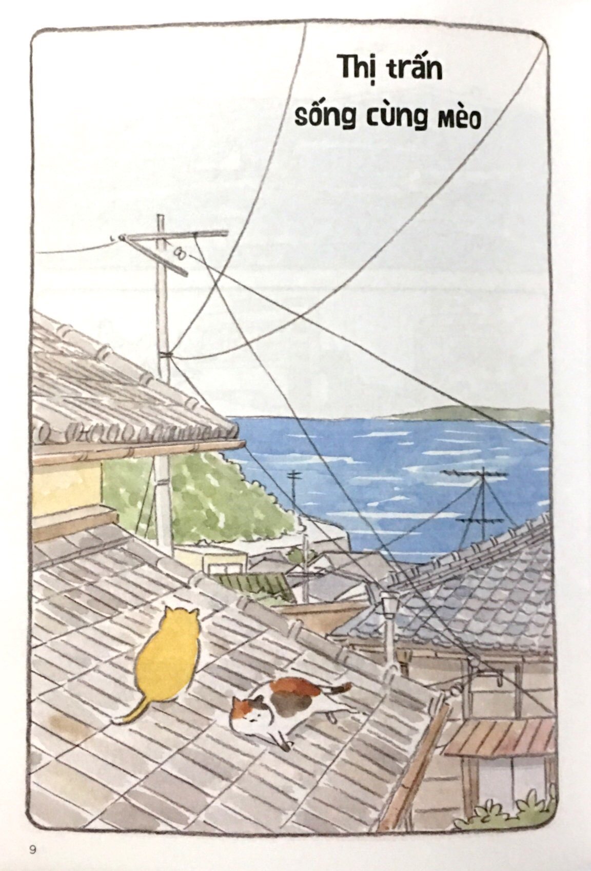 Bộ Thị Trấn Mèo - Tập 2 - Ảnh 9