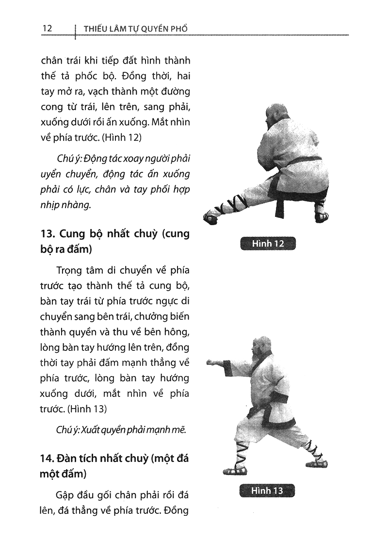 bộ thiếu lâm tự quyền phổ tập 2 - tâm ý môn - Ảnh 10