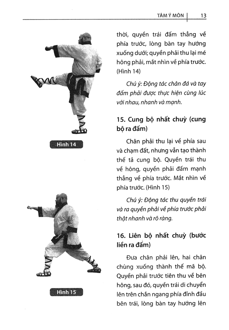 bộ thiếu lâm tự quyền phổ tập 2 - tâm ý môn - Ảnh 11