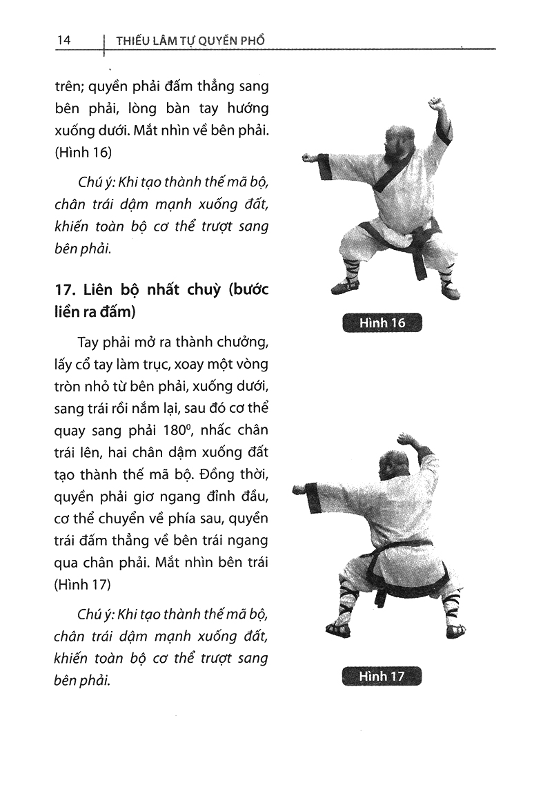 bộ thiếu lâm tự quyền phổ tập 2 - tâm ý môn - Ảnh 12