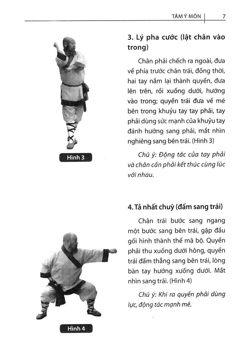 bộ thiếu lâm tự quyền phổ tập 2 - tâm ý môn - Ảnh 5