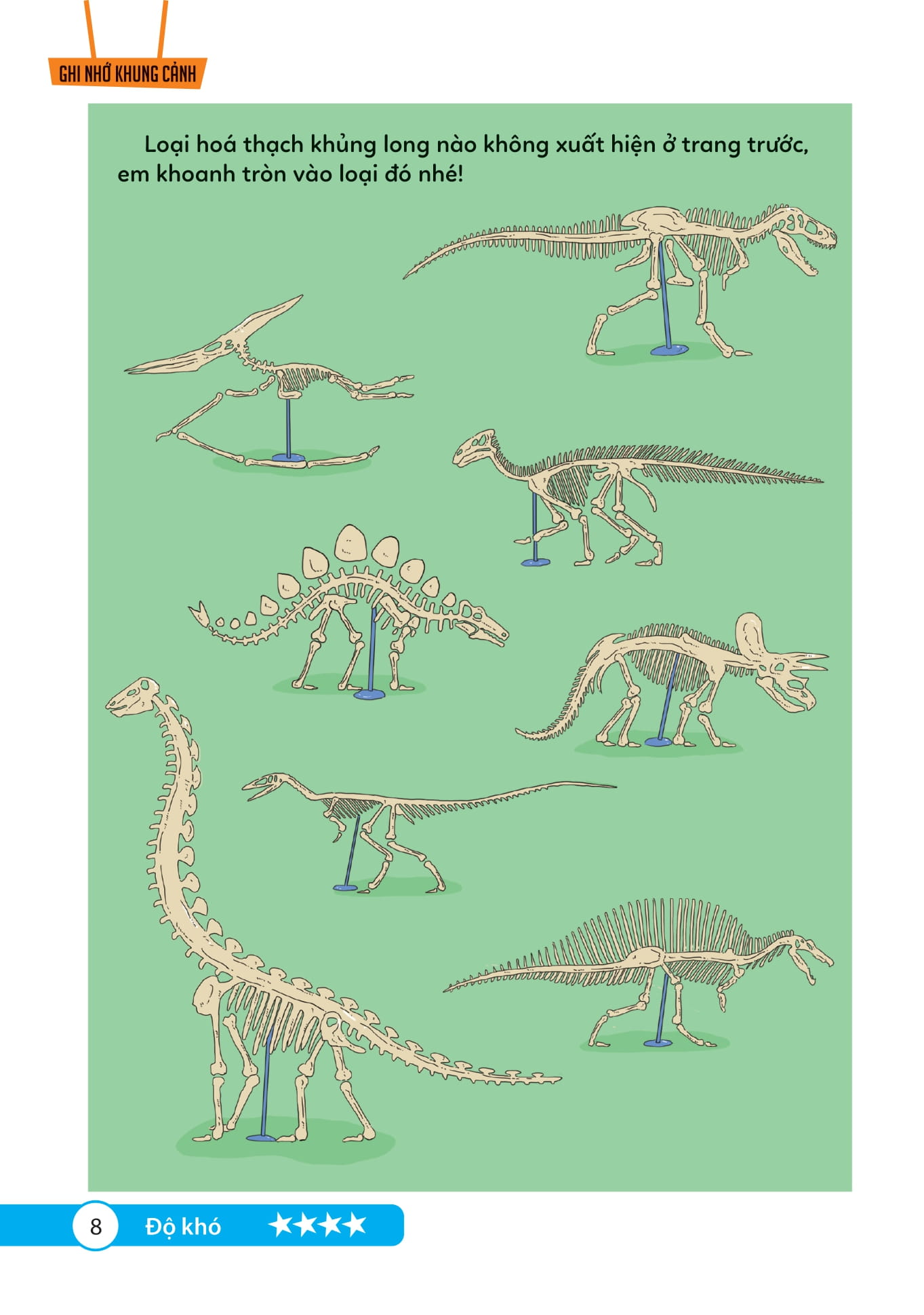 bộ thử tài trí nhớ - xem ai tinh mắt - tập 2 - Ảnh 5