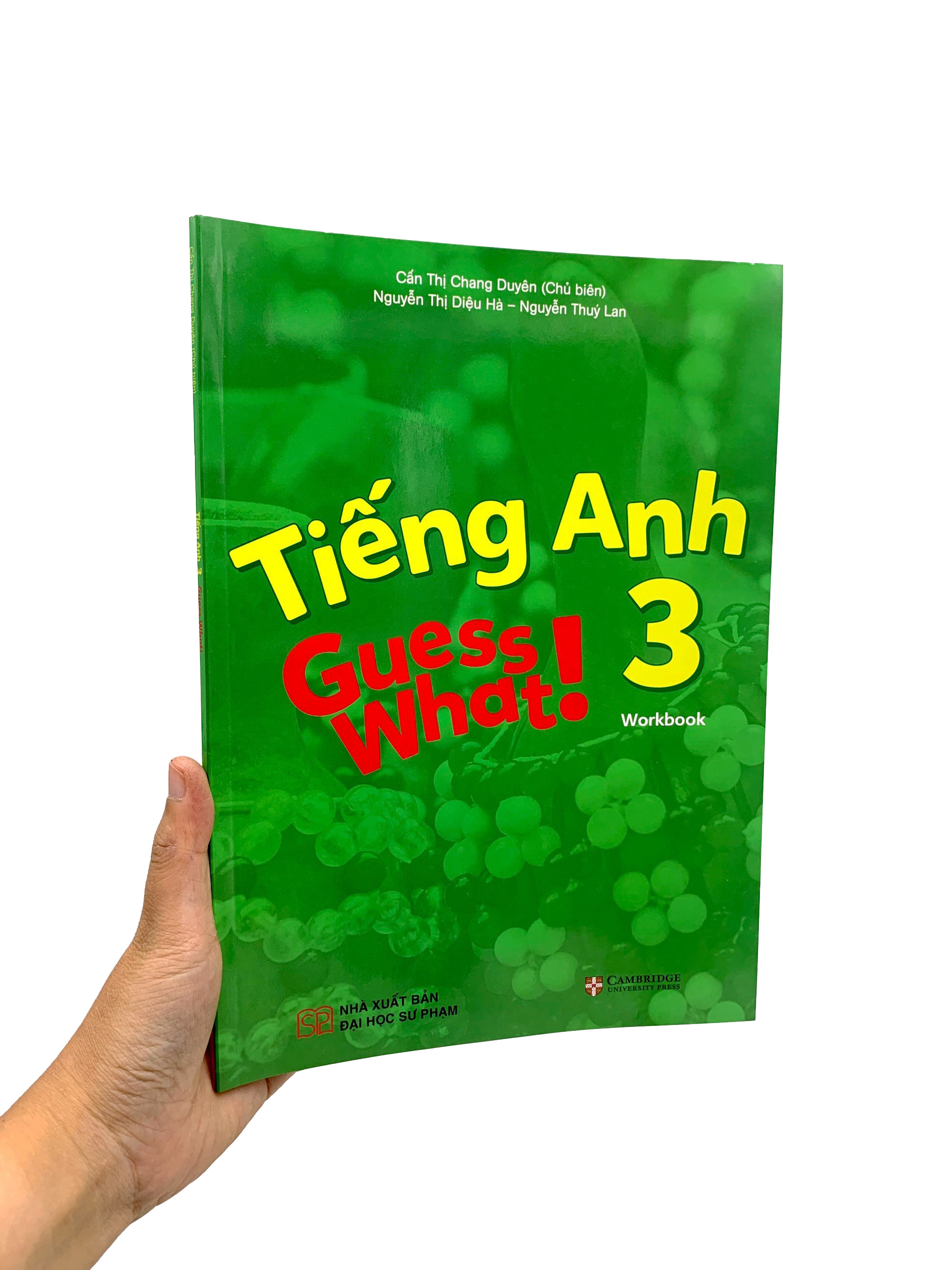 bộ tiếng anh 3 guess what! - workbook - Ảnh 8