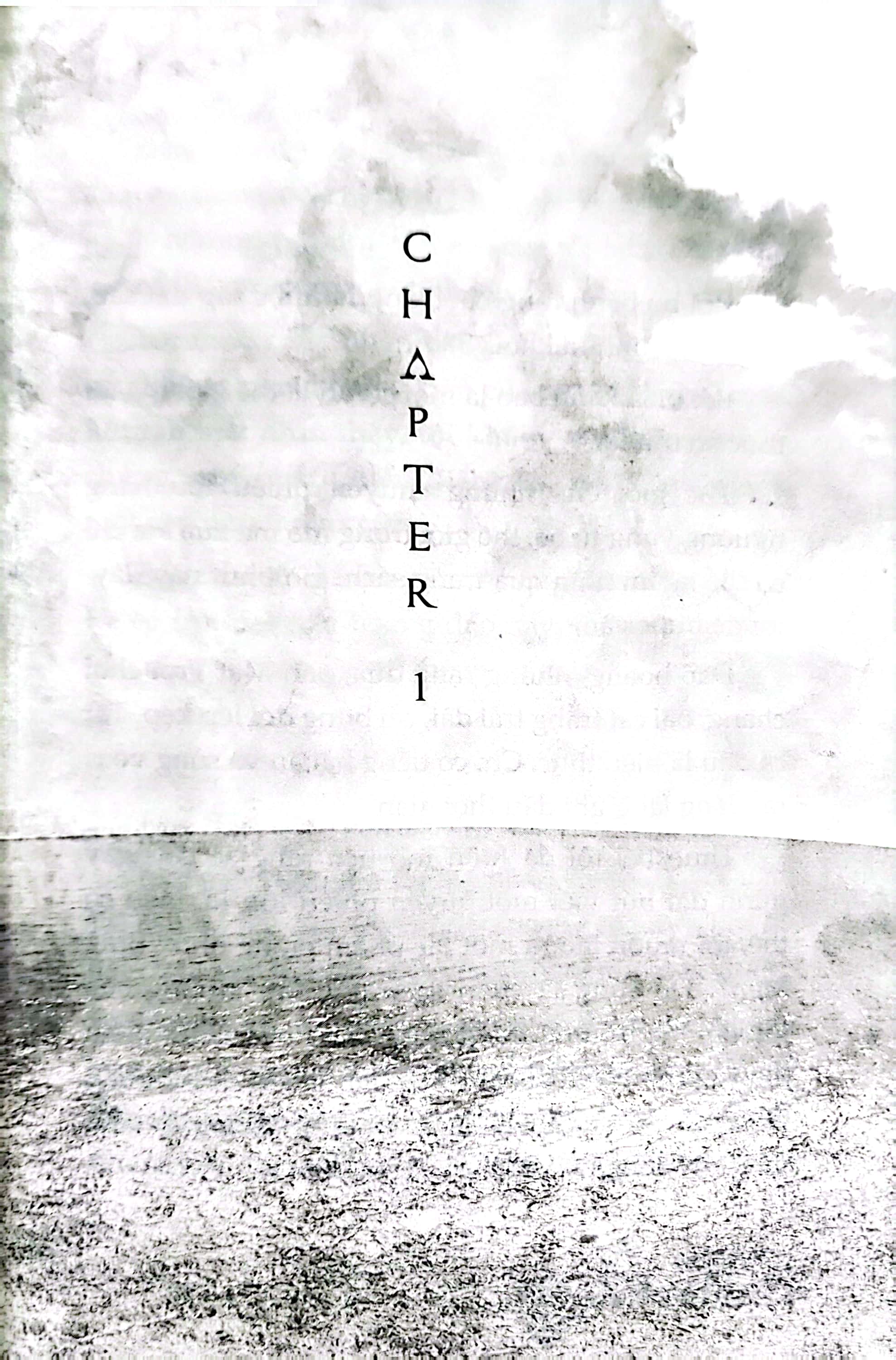 bộ tiểu thuyết one piece - chuyện về ace - tập 1 - băng hải tặc spade ra đời - Ảnh 6