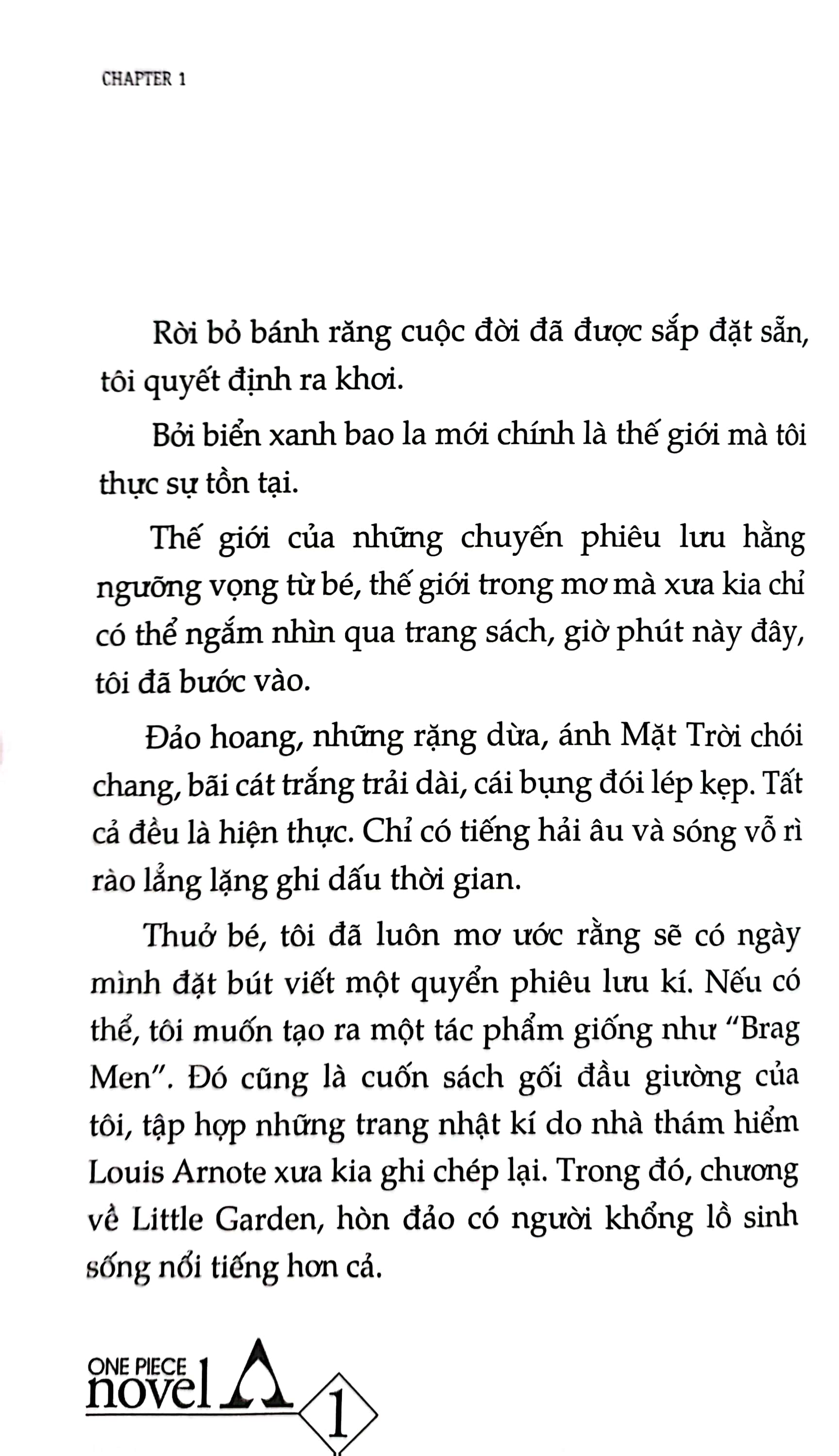 bộ tiểu thuyết one piece - chuyện về ace - tập 1 - băng hải tặc spade ra đời - Ảnh 7