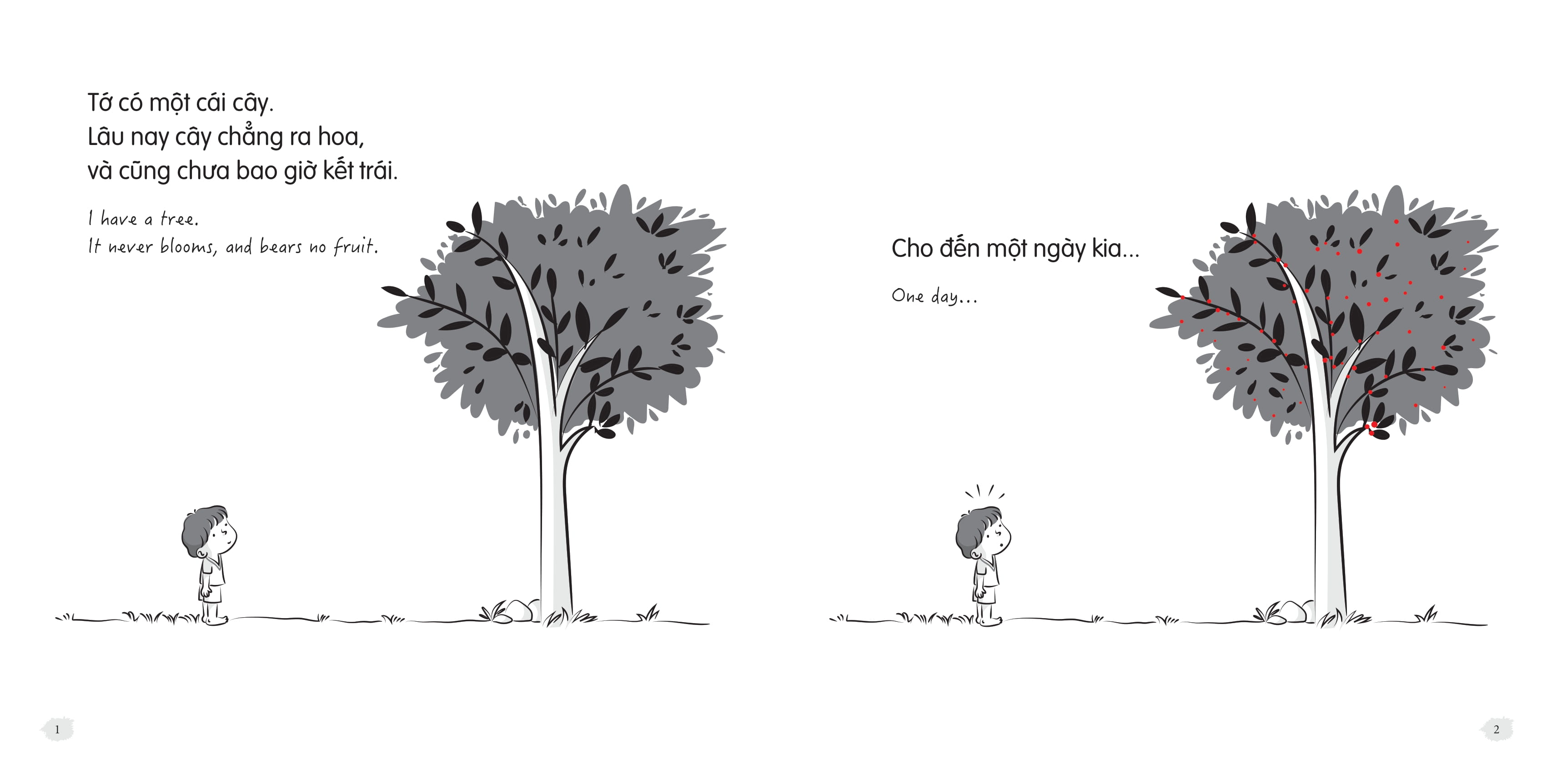 Bộ Tớ Có Gì Nhỉ? - What I Have? - Tập 2 - Tớ Có Một Cái Cây - I Have A Tree - Ảnh 3