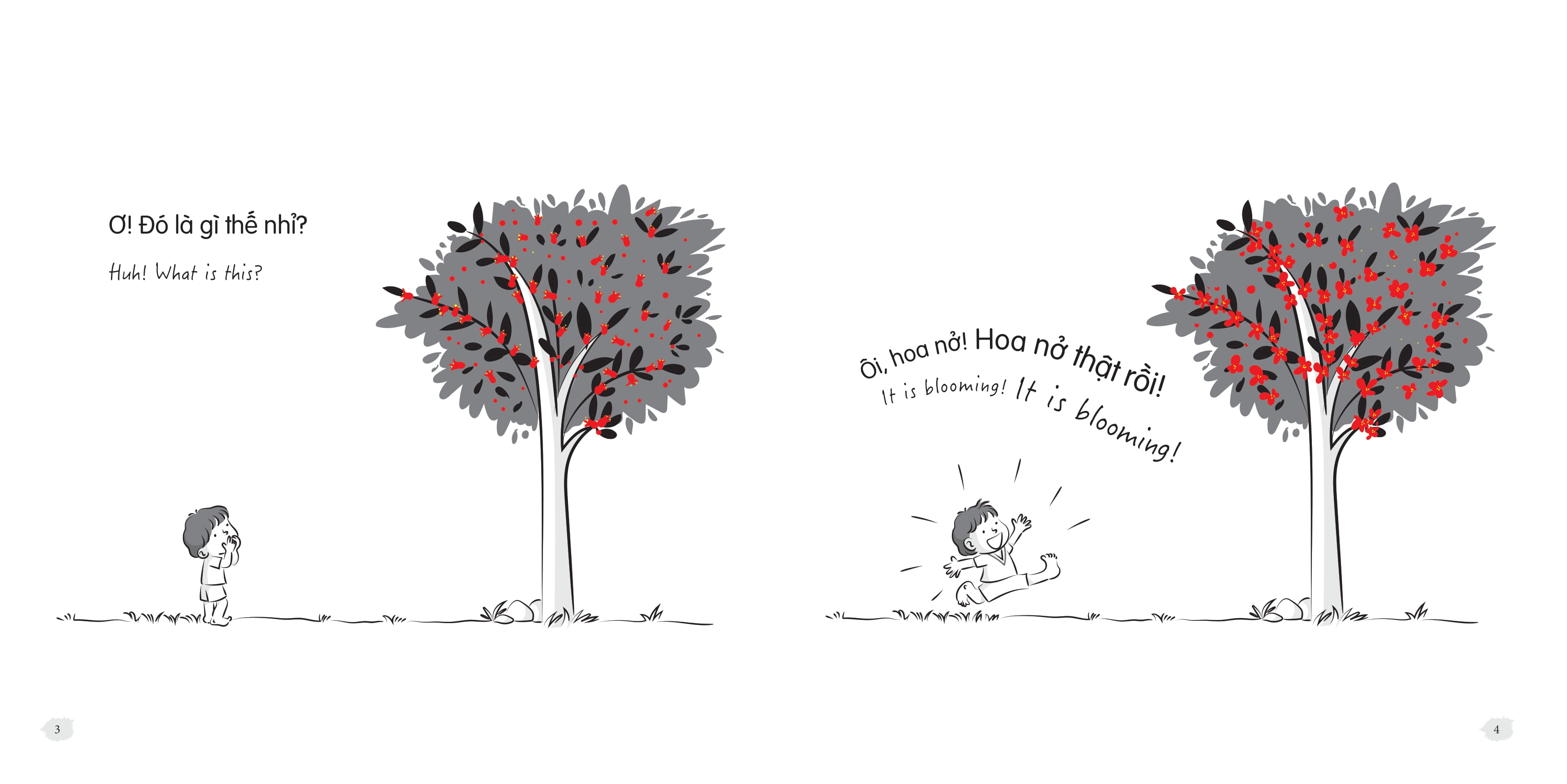 Bộ Tớ Có Gì Nhỉ? - What I Have? - Tập 2 - Tớ Có Một Cái Cây - I Have A Tree - Ảnh 4