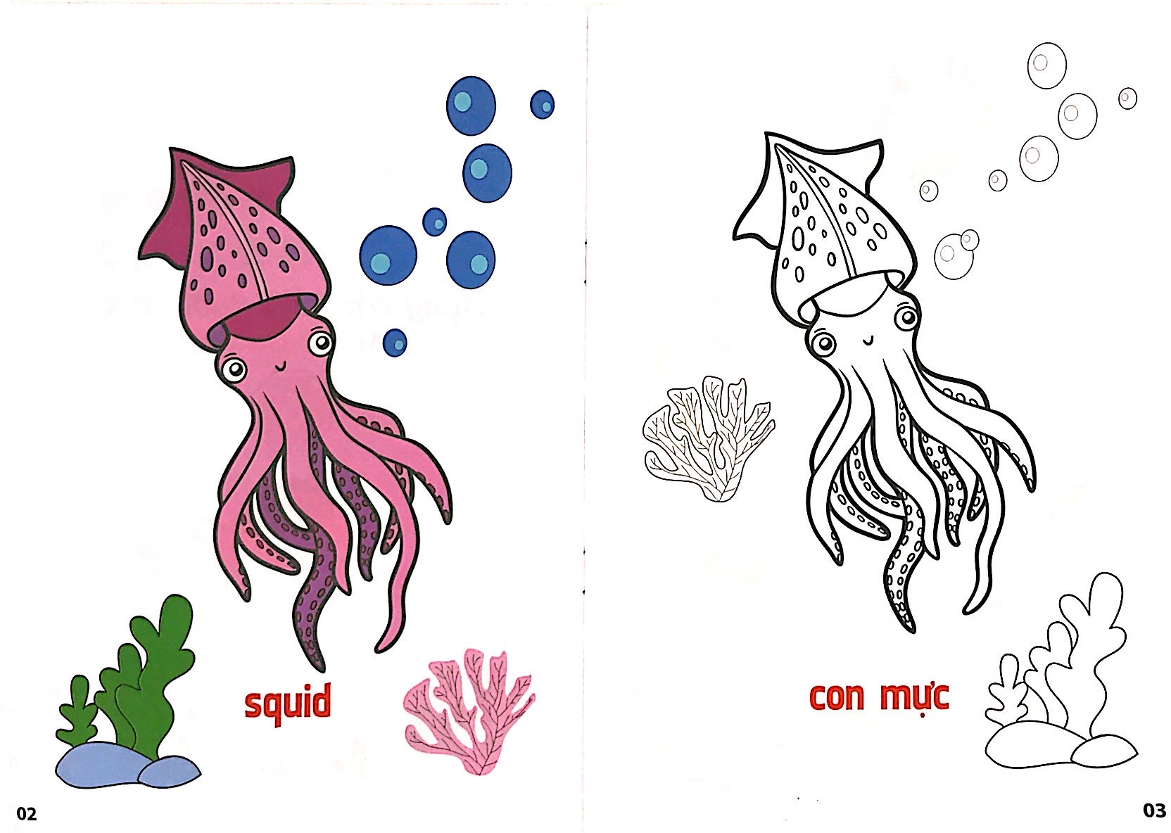bộ tô màu động vật dưới nước tập 6 (song ngữ anh việt) - Ảnh 3