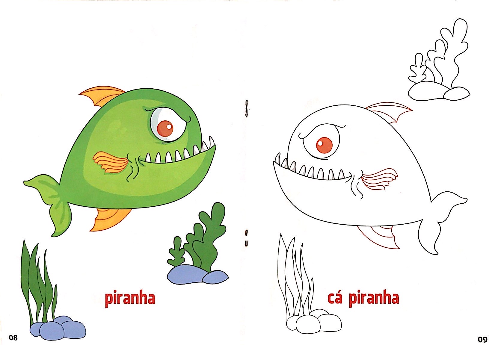 bộ tô màu động vật dưới nước tập 6 (song ngữ anh việt) - Ảnh 6