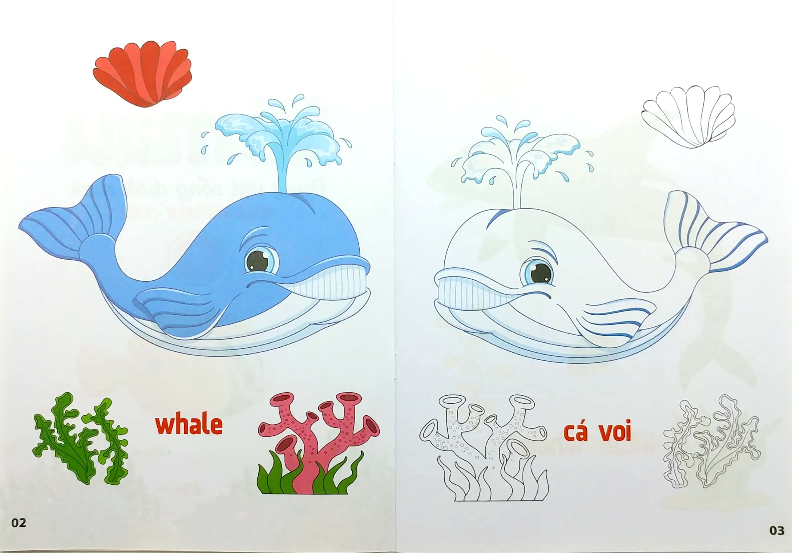 bộ tô màu động vật sống dưới nước - song ngữ anh-việt - tập 1 (tái bản 2023) - Ảnh 2