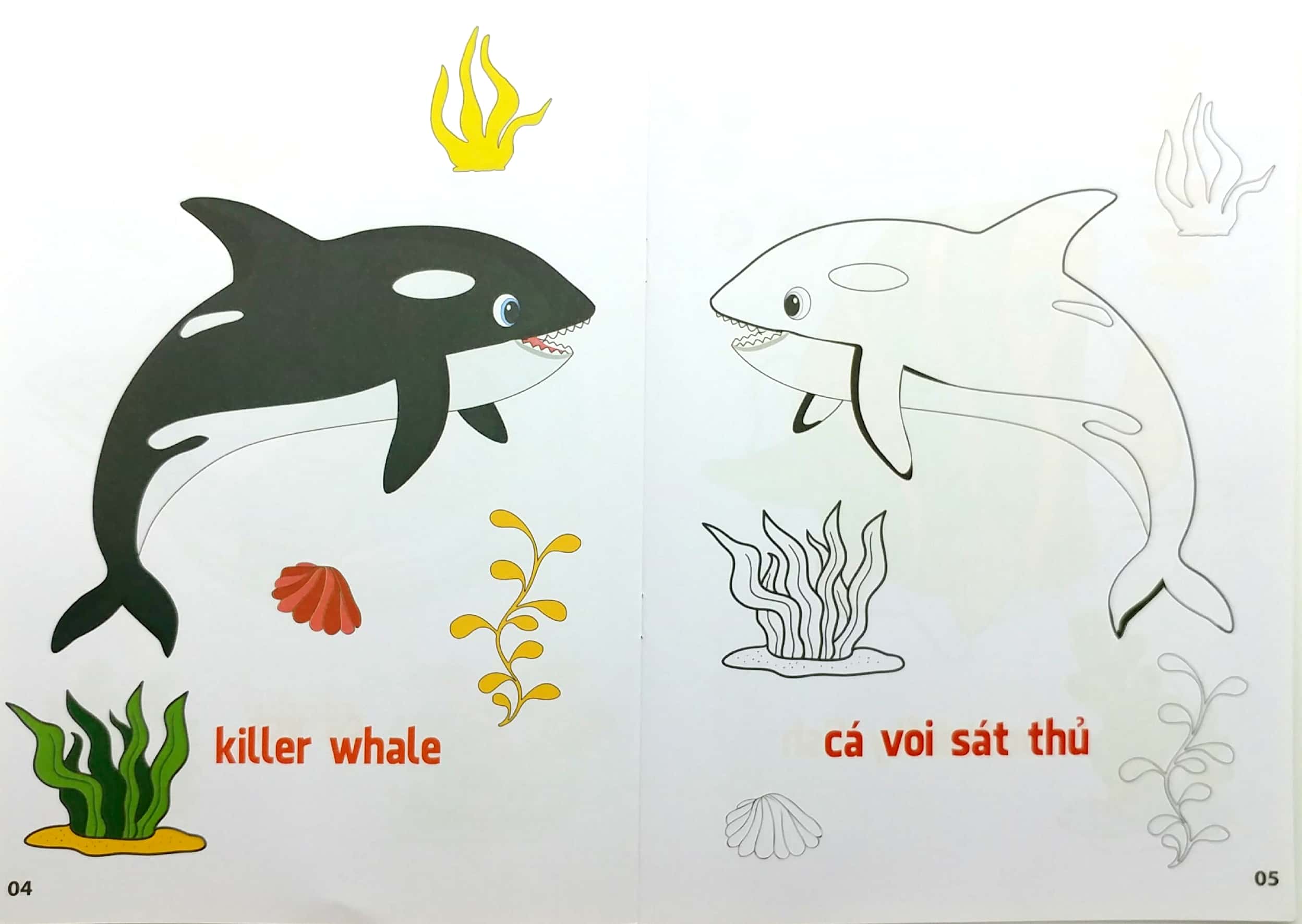 bộ tô màu động vật sống dưới nước - song ngữ anh-việt - tập 1 (tái bản 2023) - Ảnh 3