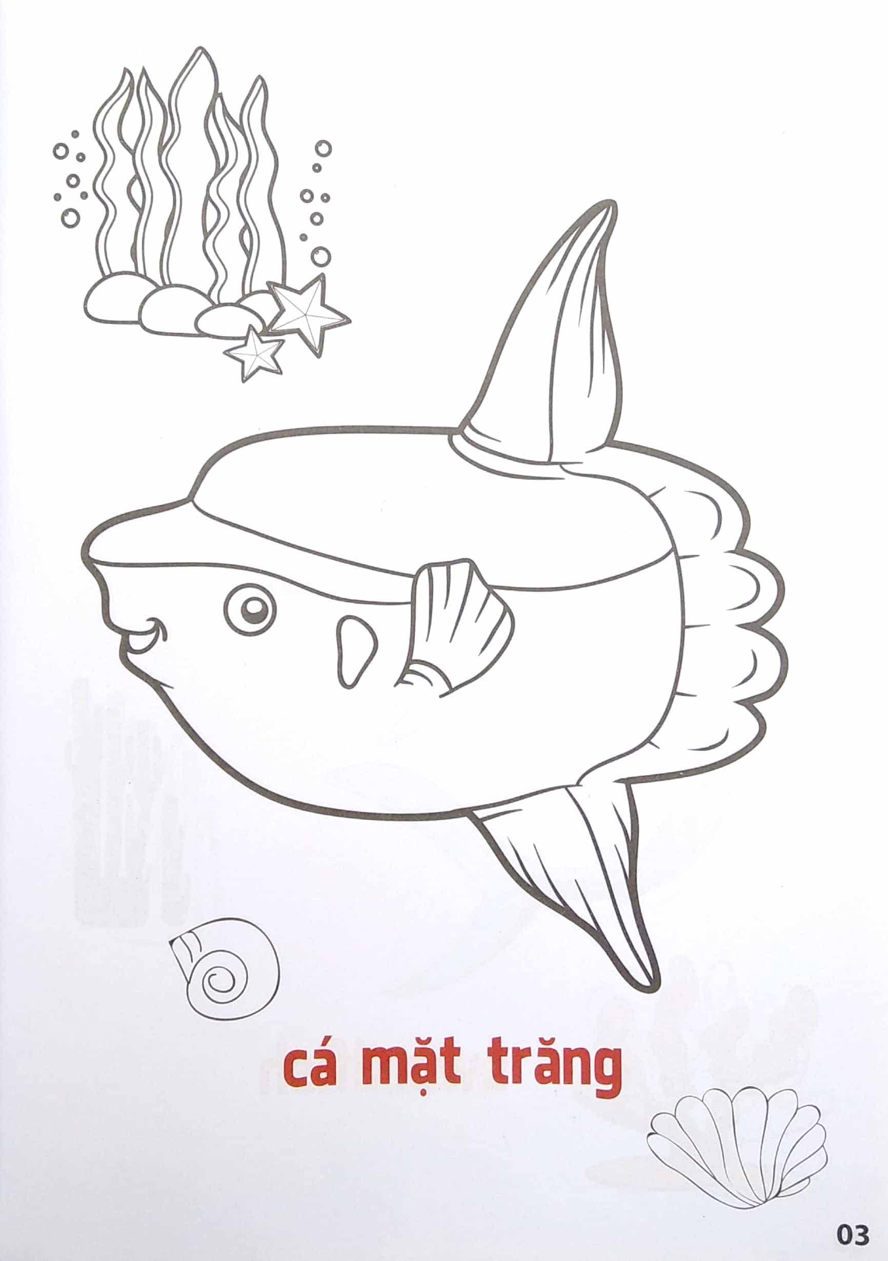 bộ tô màu động vật sống dưới nước - song ngữ anh-việt - tập 2 (tái bản 2023) - Ảnh 3