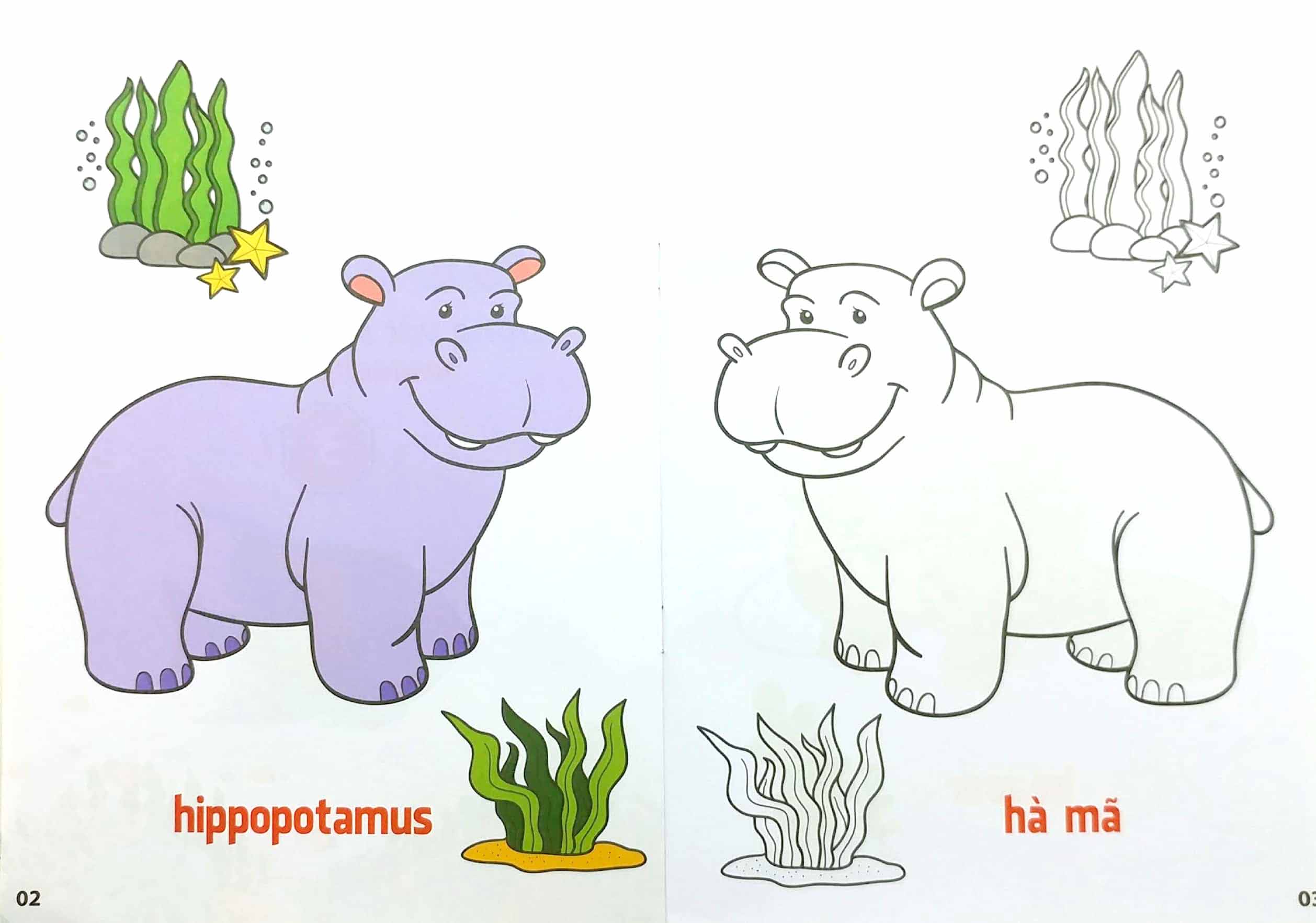 bộ tô màu động vật sống dưới nước - song ngữ anh-việt - tập 3 (tái bản 2023) - Ảnh 2