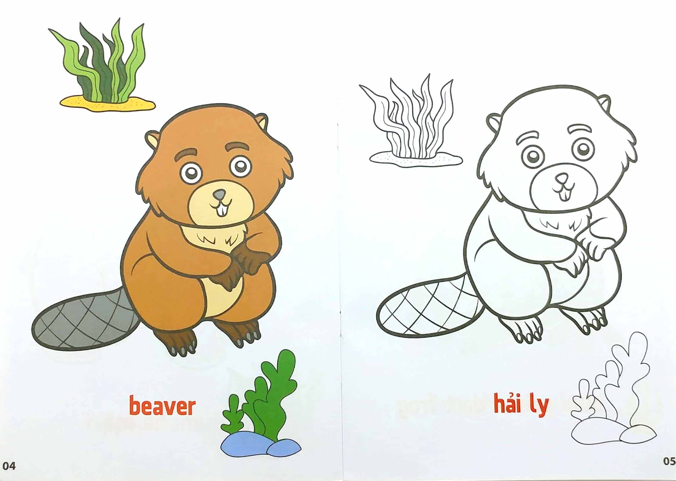 bộ tô màu động vật sống dưới nước - song ngữ anh-việt - tập 3 (tái bản 2023) - Ảnh 3