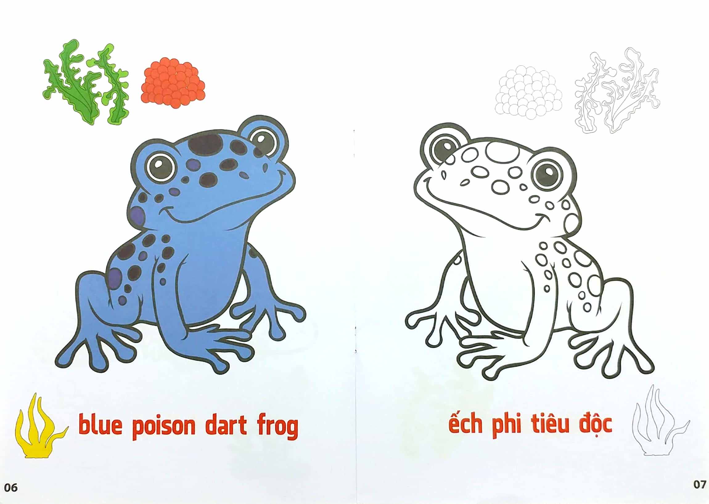 bộ tô màu động vật sống dưới nước - song ngữ anh-việt - tập 3 (tái bản 2023) - Ảnh 4