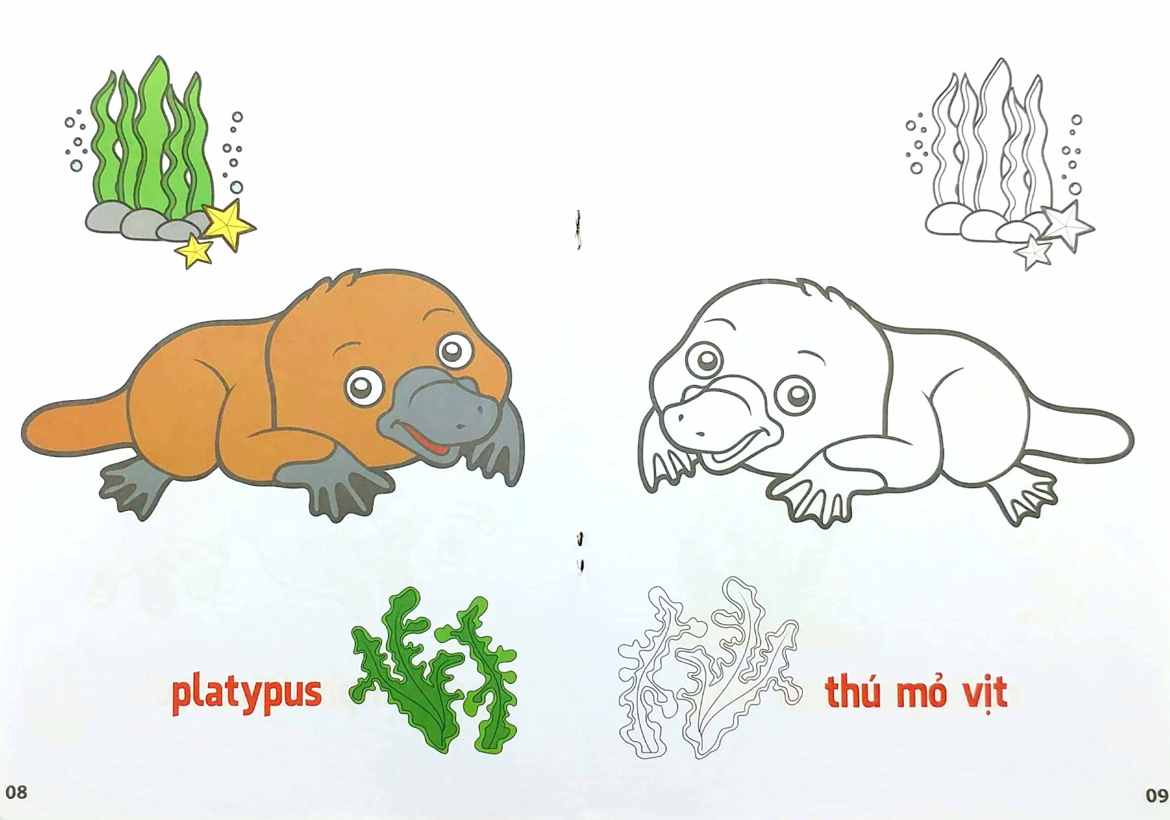 bộ tô màu động vật sống dưới nước - song ngữ anh-việt - tập 3 (tái bản 2023) - Ảnh 5