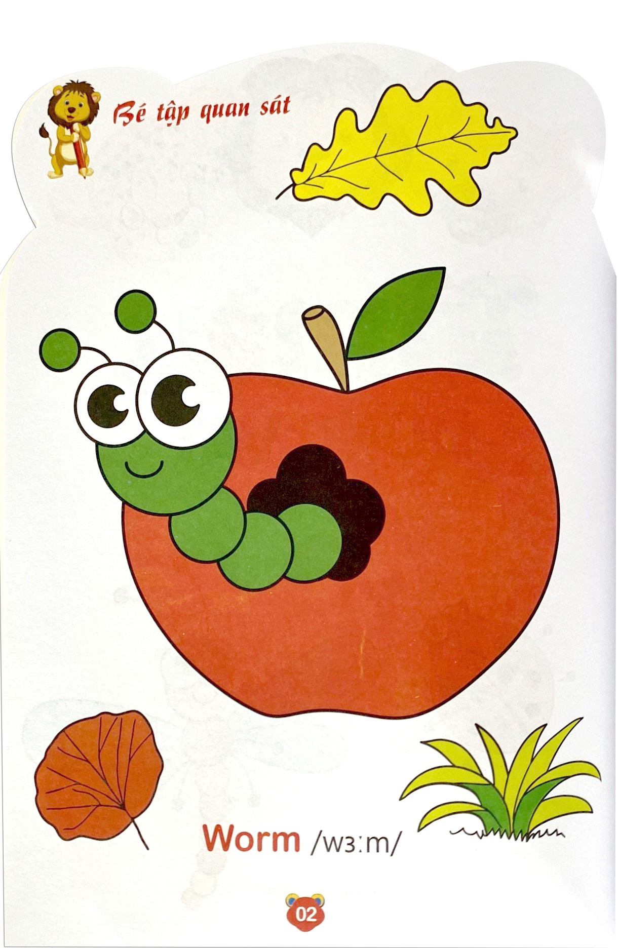 bộ tô màu động vật - song ngữ anh-việt - tập 2 (tái bản 2023) - Ảnh 3