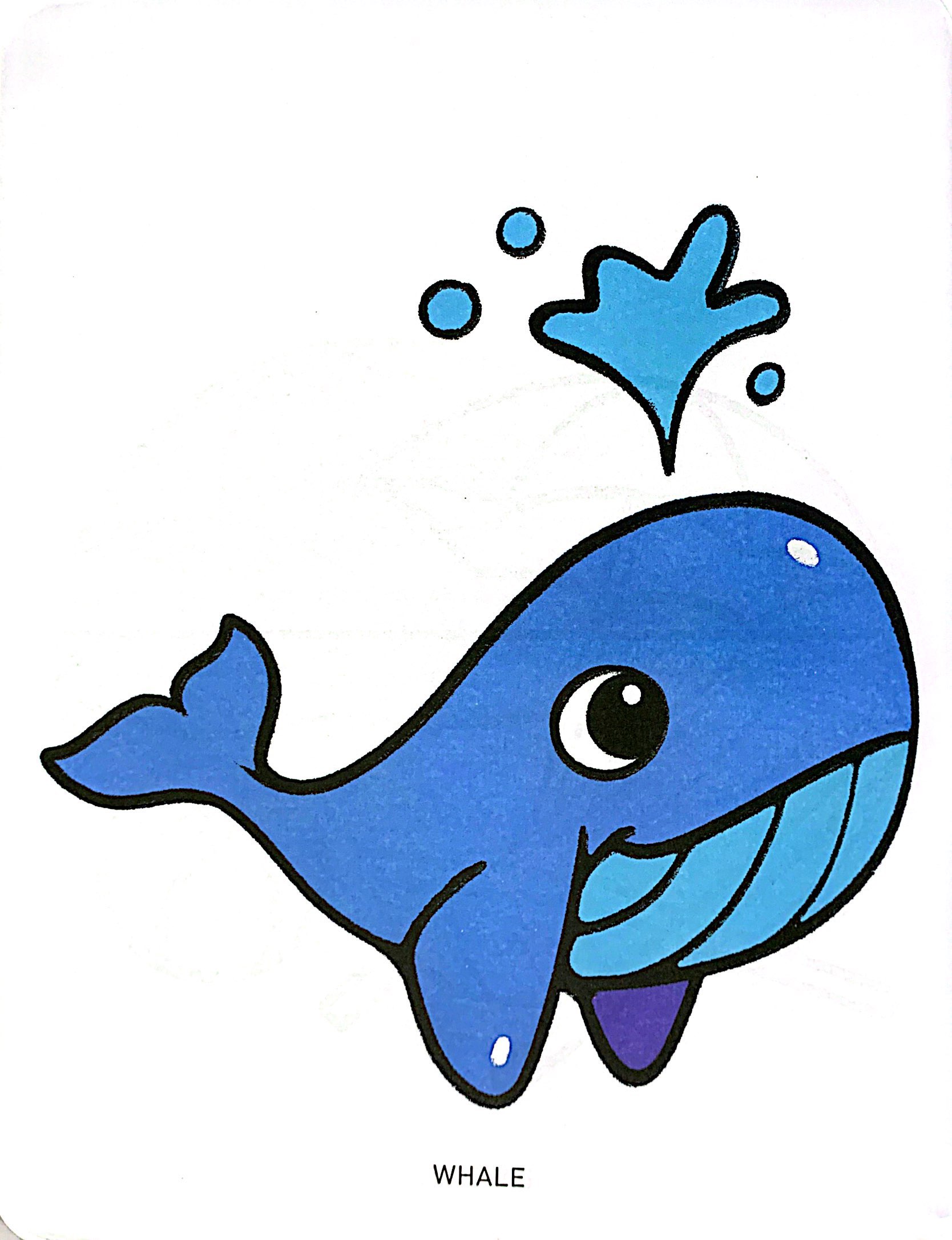 bộ tô màu phát triển não bộ cho bé 1-5 tuổi - tập 7 - Ảnh 5