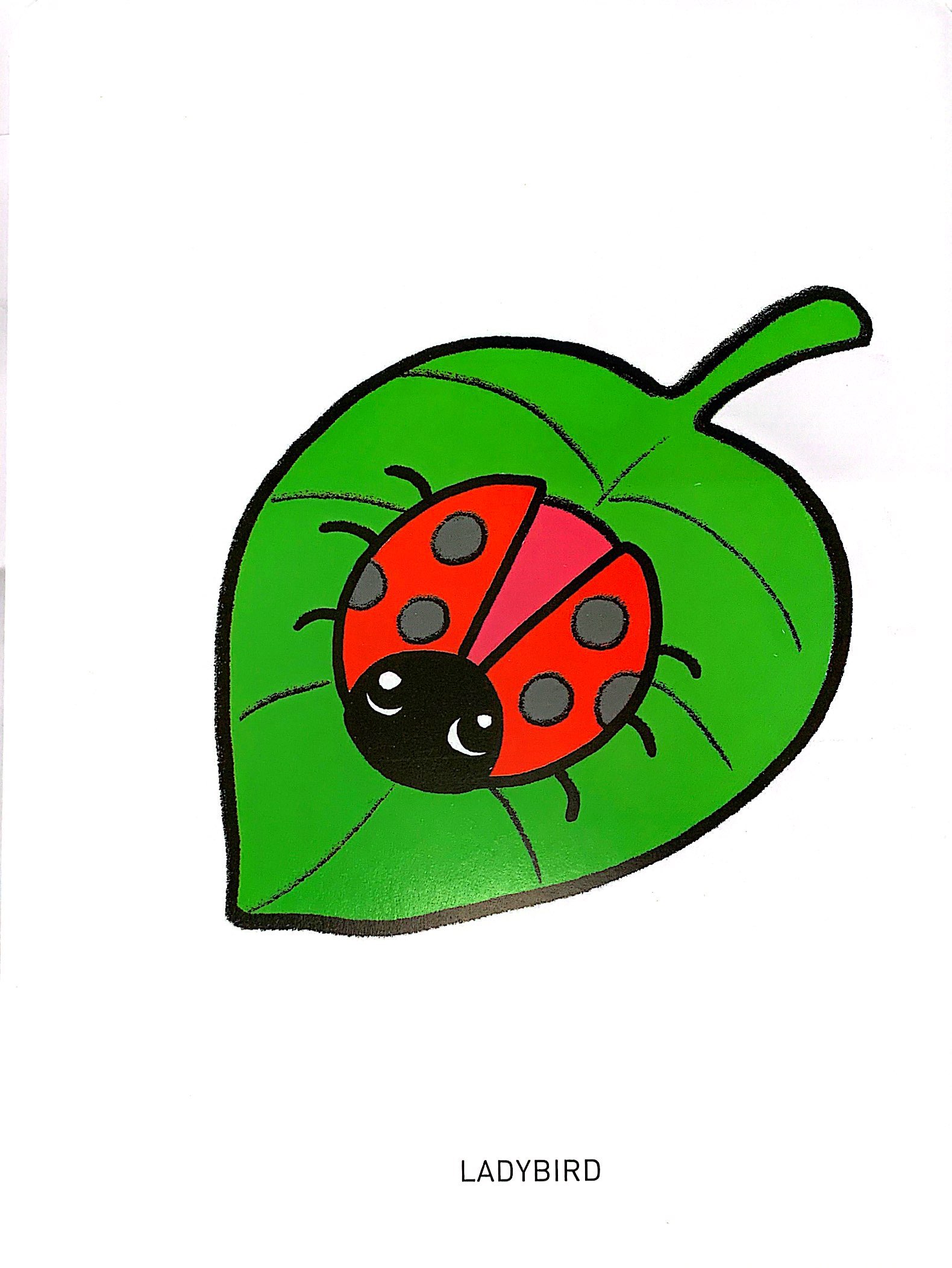 bộ tô màu phát triển não bộ cho bé 1-5 tuổi - tập 9 - Ảnh 3