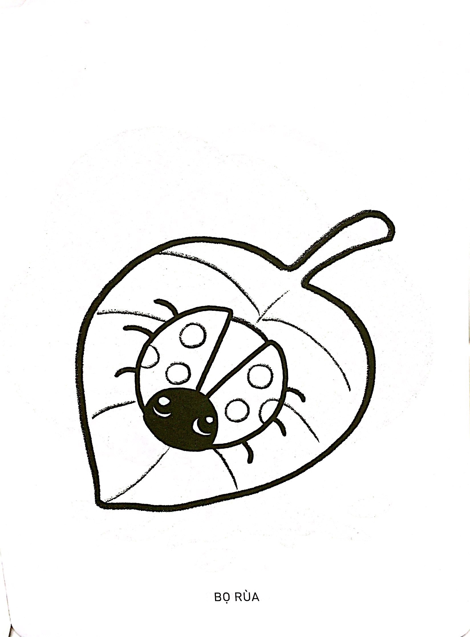 bộ tô màu phát triển não bộ cho bé 1-5 tuổi - tập 9 - Ảnh 4