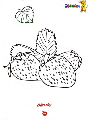 bộ tô màu rau - củ - quả song ngữ anh - việt - tập 2 - Ảnh 3