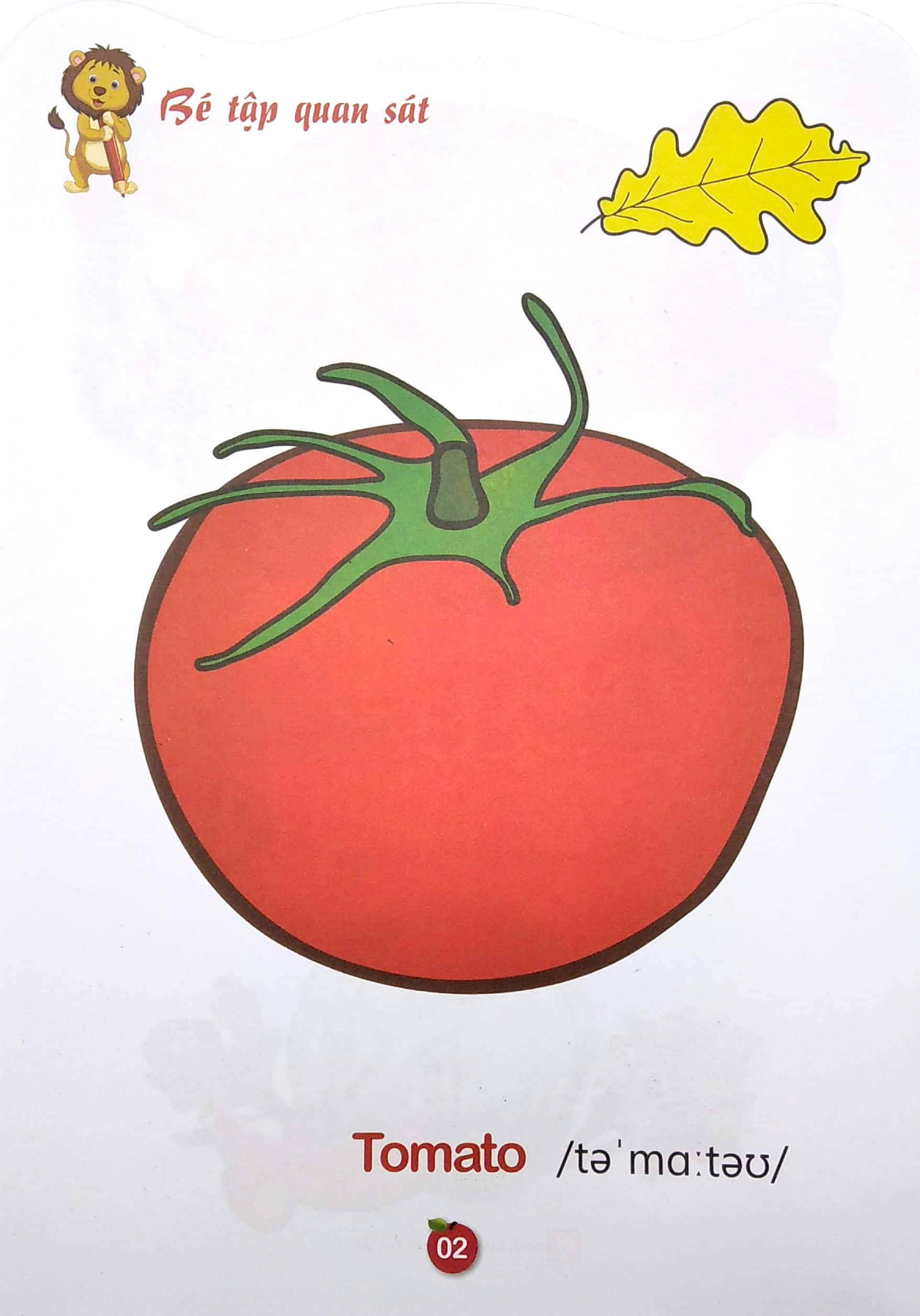 bộ tô màu rau-củ- quả- song ngữ anh-việt - tập 2 (tái bản 2023) - Ảnh 3