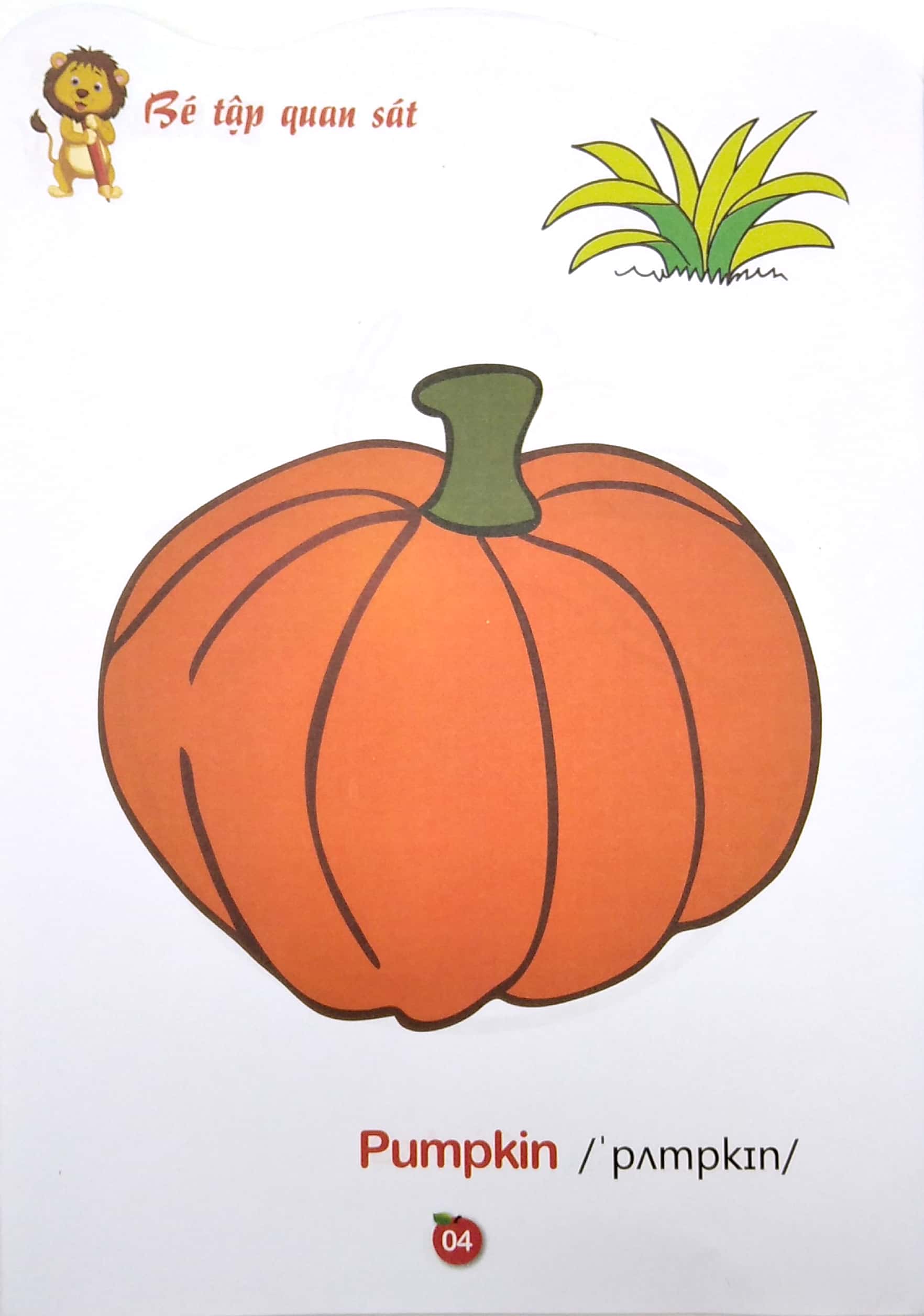 bộ tô màu rau-củ- quả- song ngữ anh-việt - tập 2 (tái bản 2023) - Ảnh 5